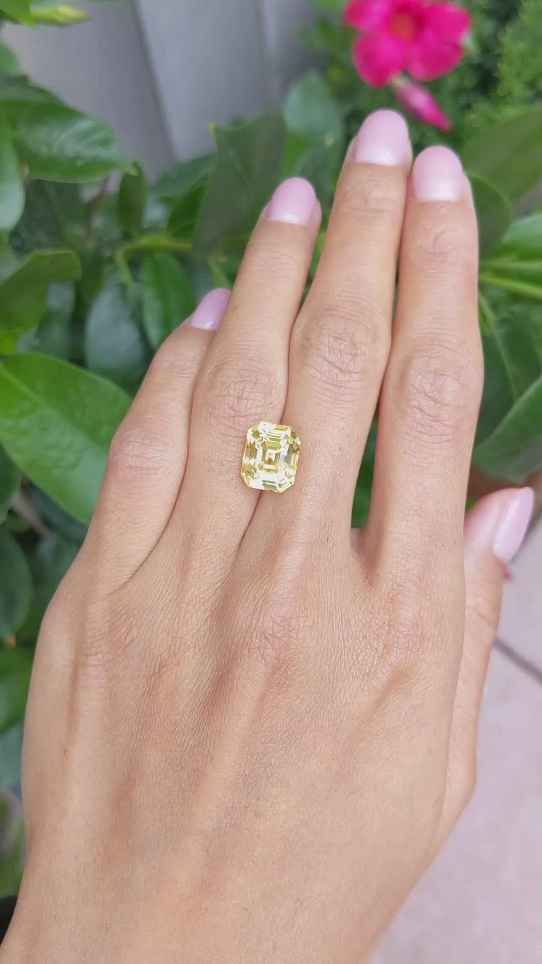 7.04 Ct. Yellow Sapphire from Ceylon (Sri Lanka) Size Video