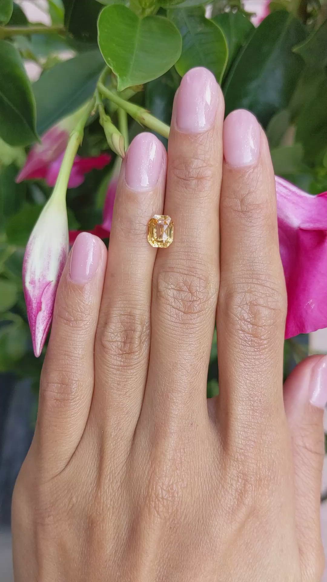 2.16 Ct. Orangish Yellow Sapphire from Ceylon (Sri Lanka) Size Video