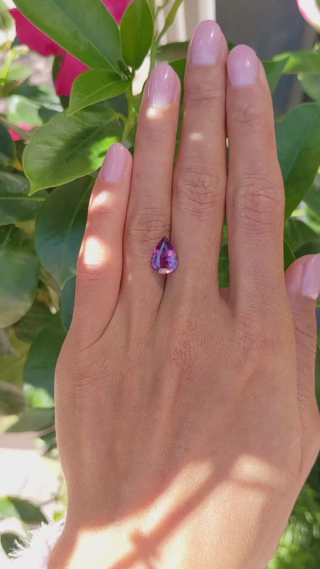 3.03 Ct. Purplish Pink Sapphire from Ceylon (Sri Lanka) Size Video
