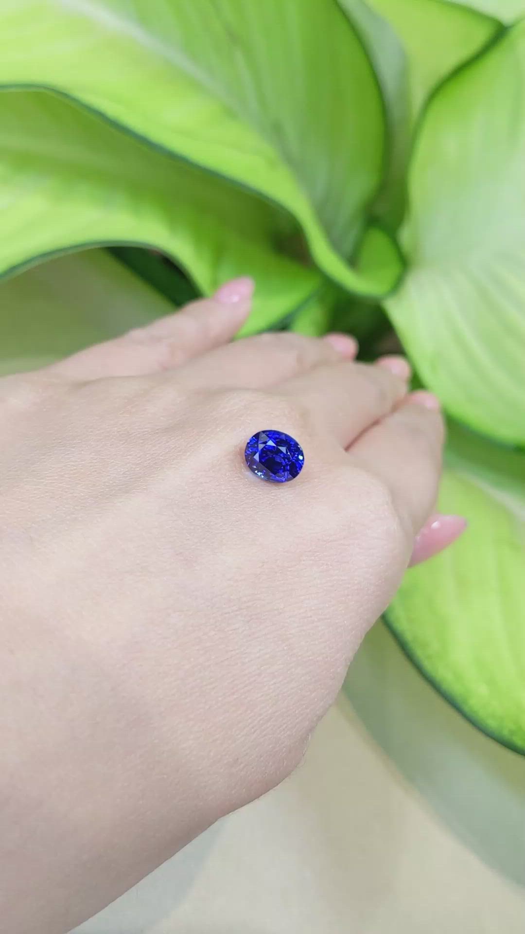 3.50 Ct. Blue Sapphire from Ceylon (Sri Lanka) Size Video
