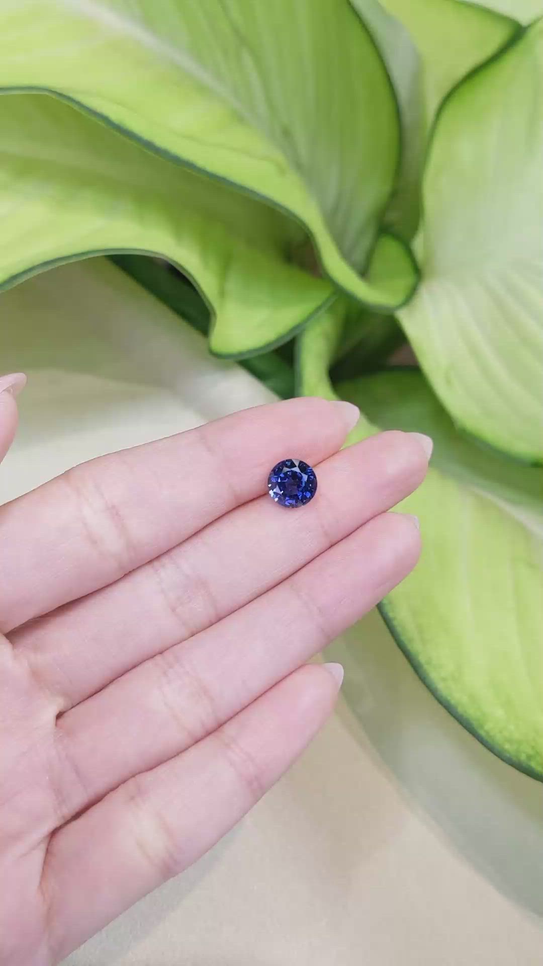 2.56 Ct. Blue Sapphire from Ceylon (Sri Lanka) Size Video