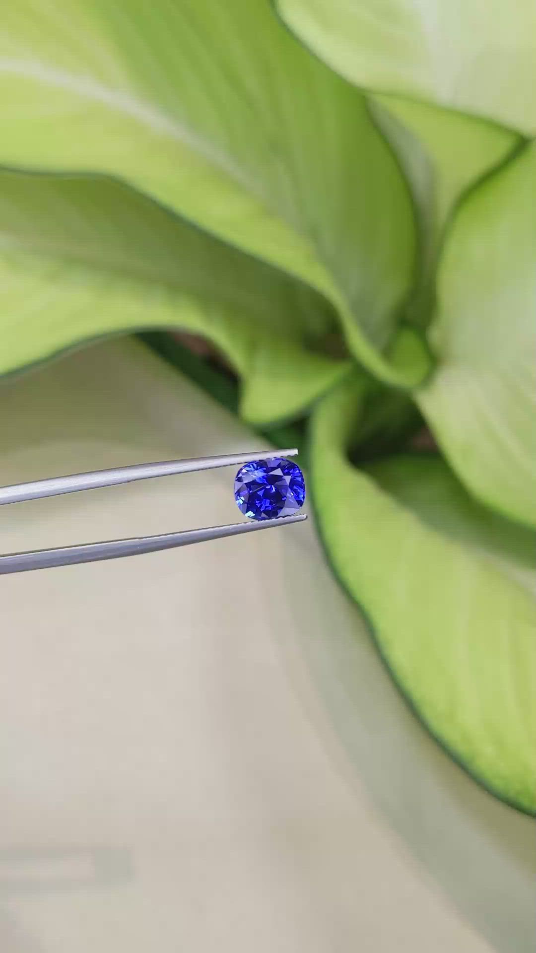 2.67 Ct. Blue Sapphire from Ceylon (Sri Lanka) Size Video