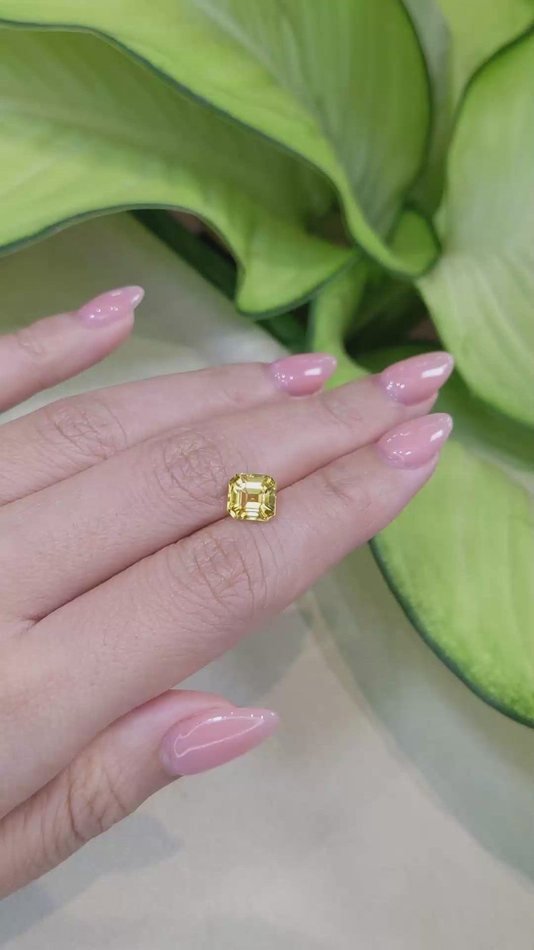 2.68 Ct. Yellow Sapphire from Ceylon (Sri Lanka) Size Video