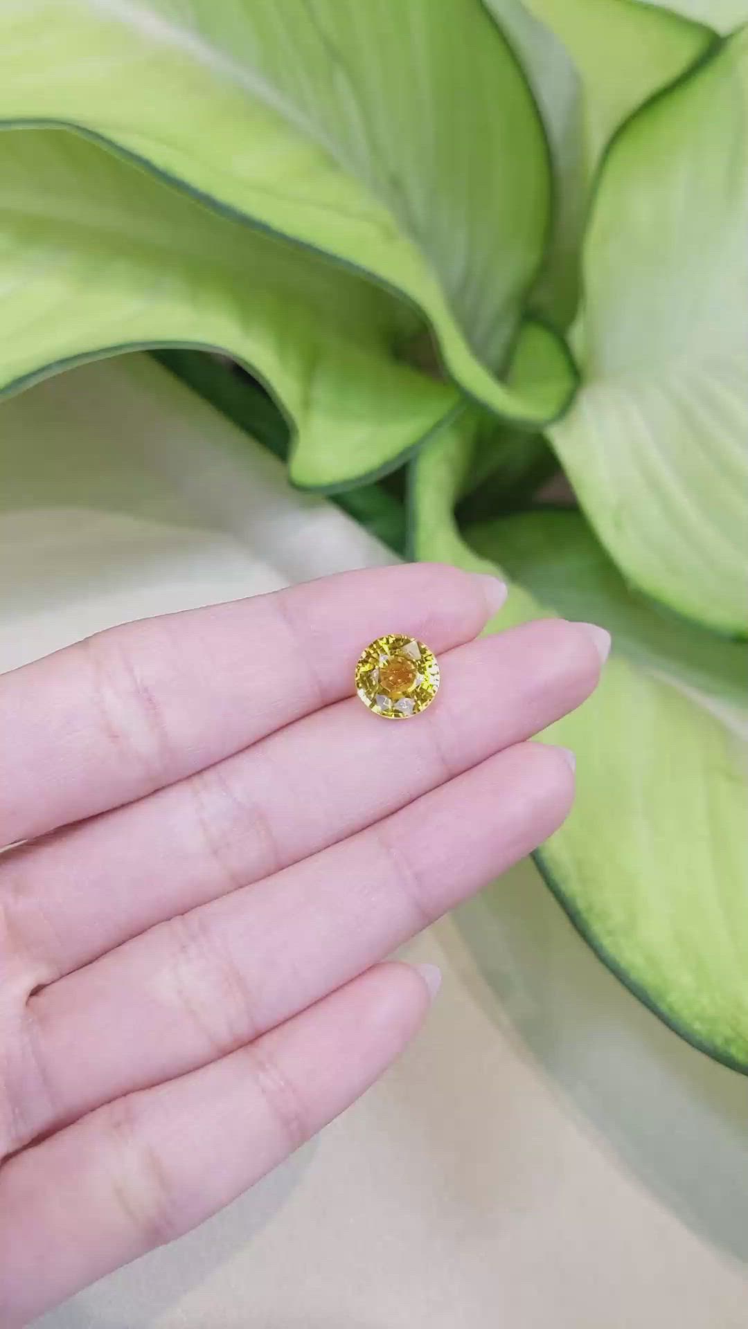 3.97 Ct. Yellow Sapphire from Ceylon (Sri Lanka) Size Video