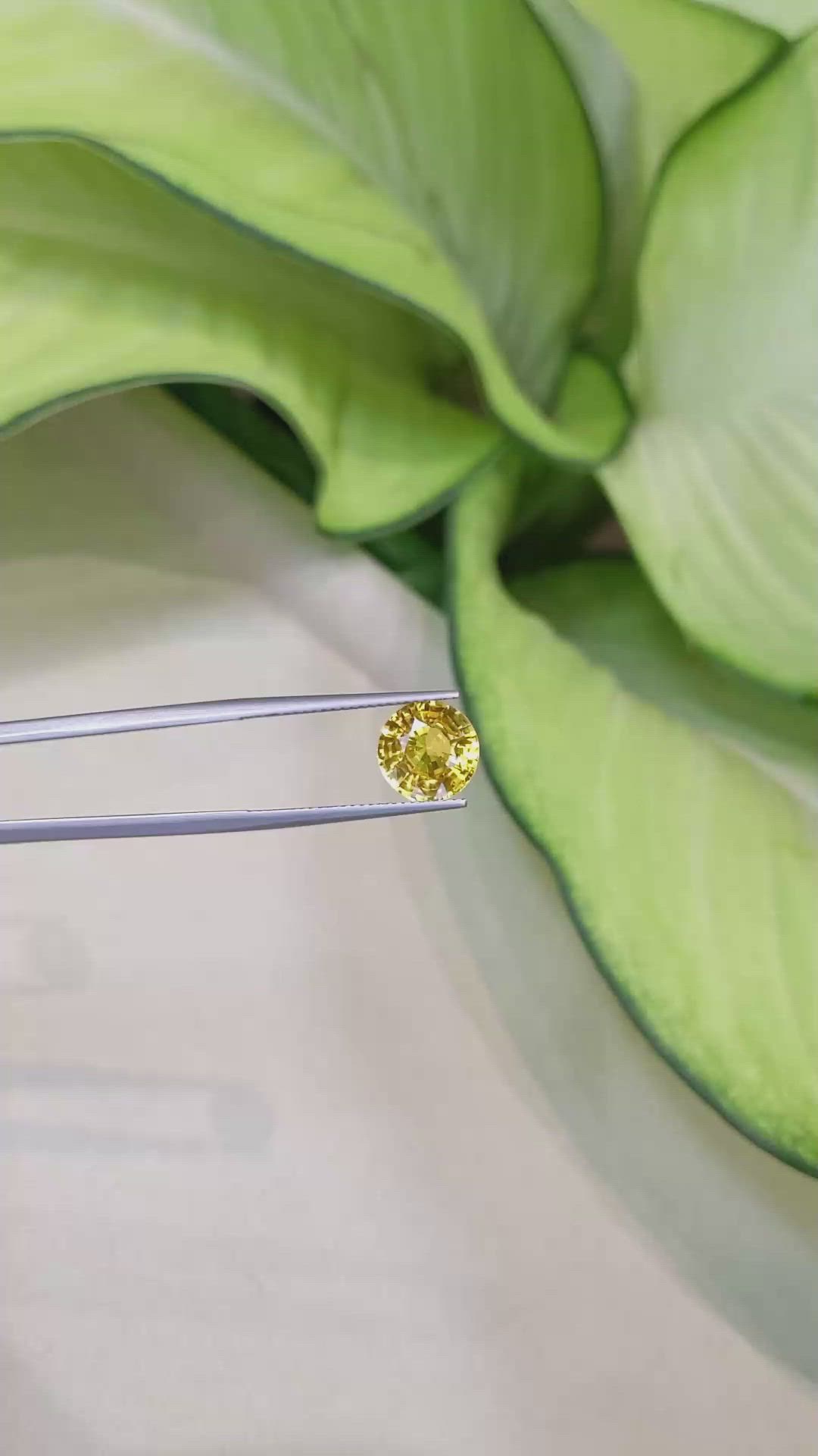3.97 Ct. Yellow Sapphire from Ceylon (Sri Lanka) Size Video