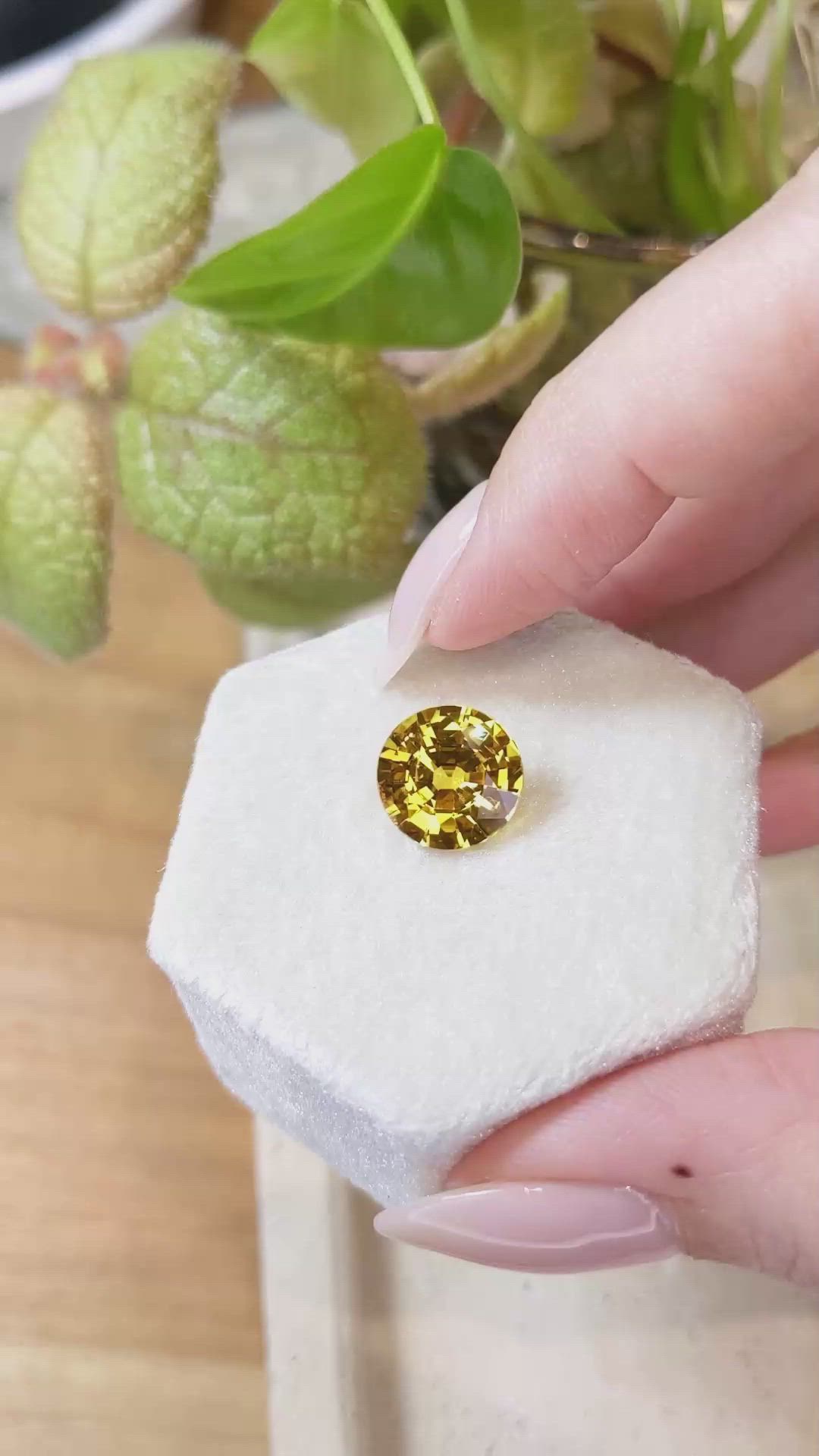 4.83 Ct. Yellow Sapphire from Ceylon (Sri Lanka) Size Video