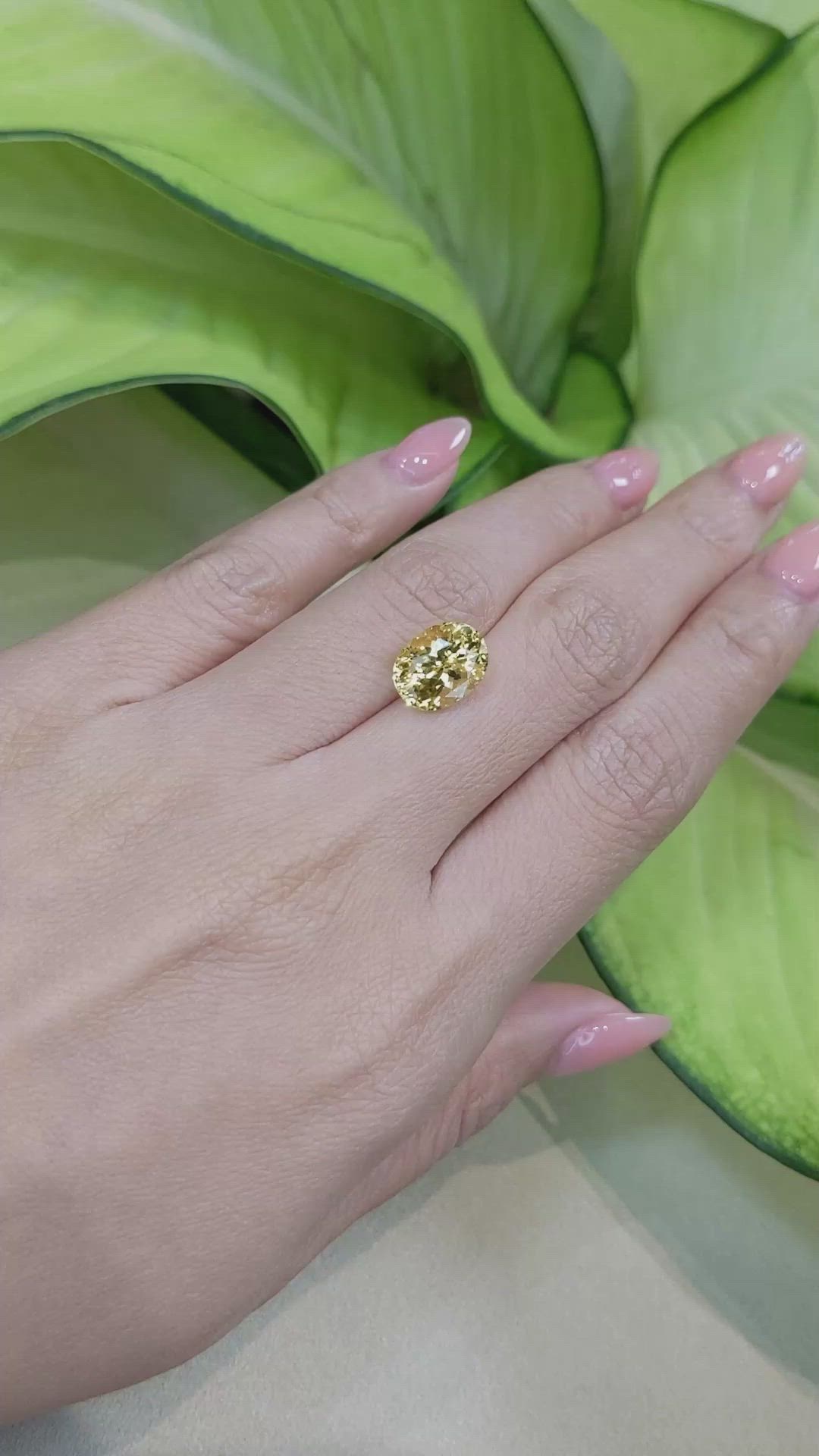5.23 Ct. Yellow Sapphire from Ceylon (Sri Lanka) Size Video