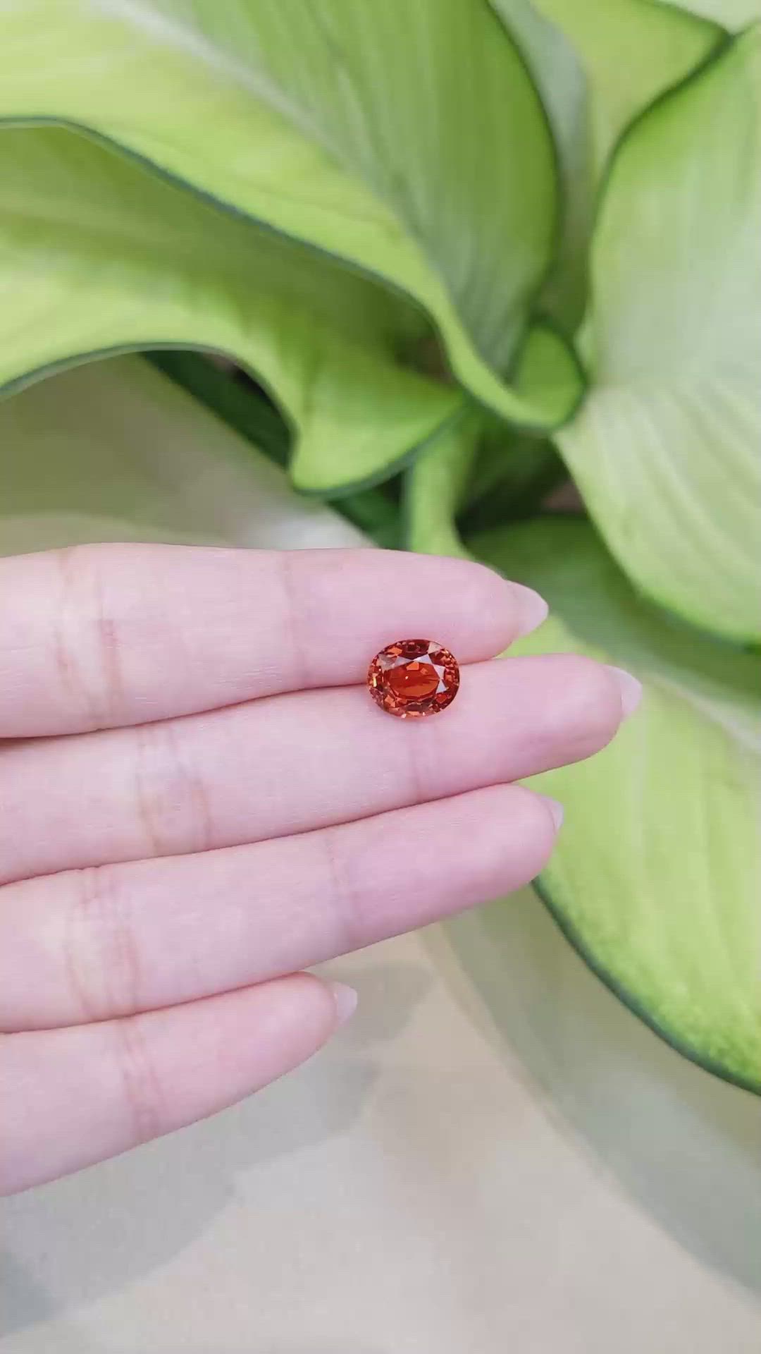 3.34 Ct. Reddish Orange Sapphire from Ceylon (Sri Lanka) Size Video
