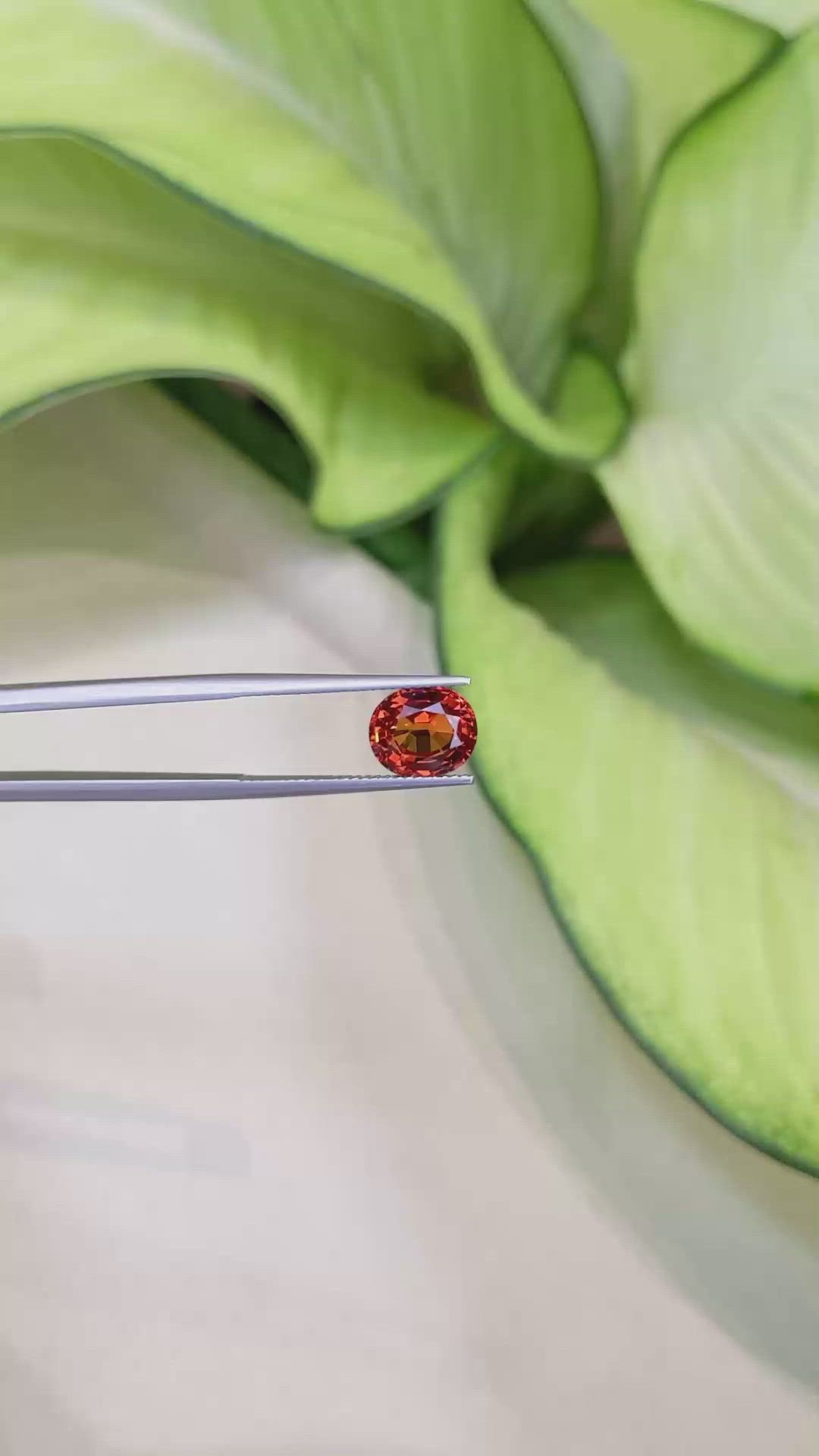 3.34 Ct. Reddish Orange Sapphire from Ceylon (Sri Lanka) Size Video