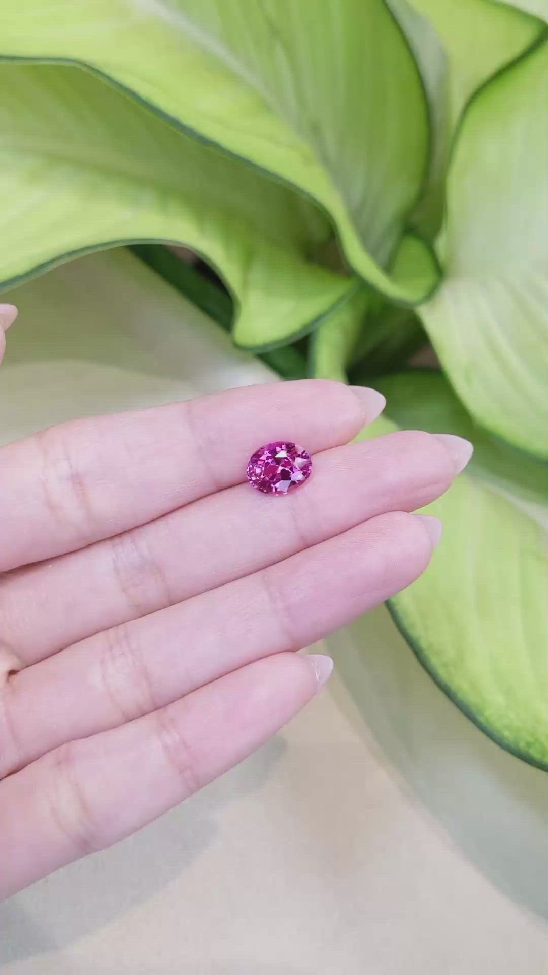 2.85 Ct. Pink Sapphire from Ceylon (Sri Lanka) Size Video