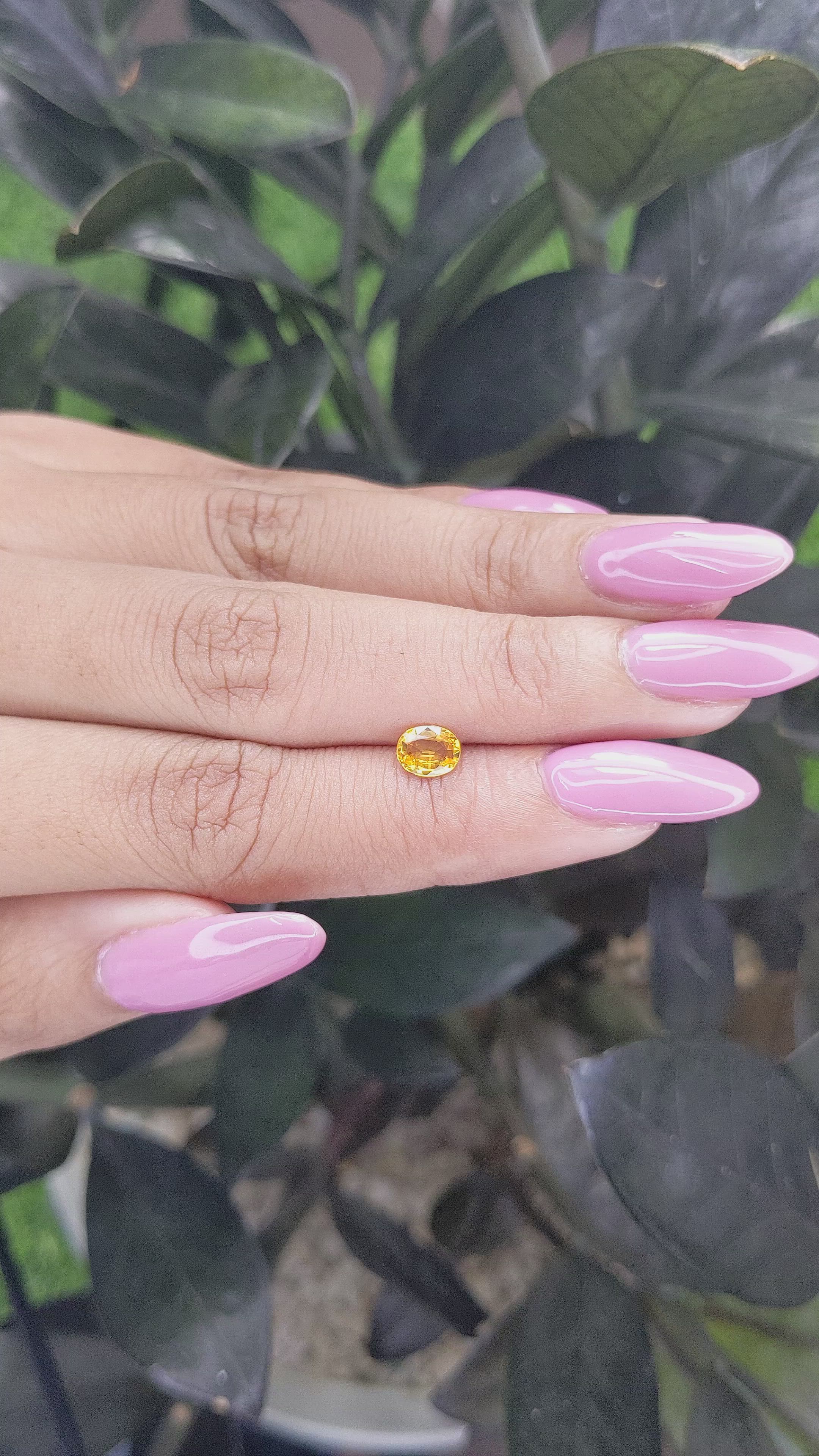 0.67 Ct. Yellow Sapphire from Madagascar Size Video