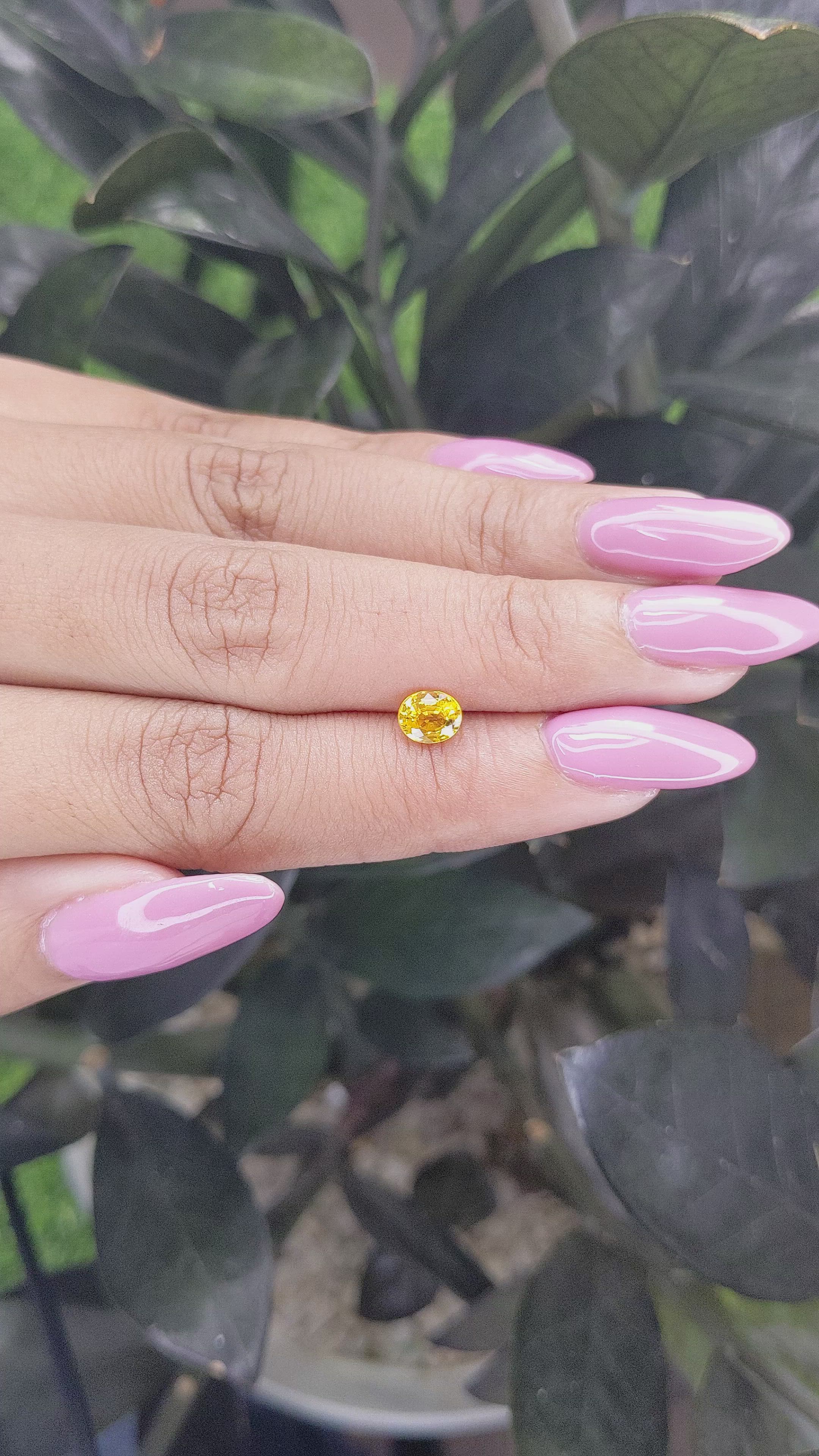 0.80 Ct. Yellow Sapphire from Madagascar Size Video