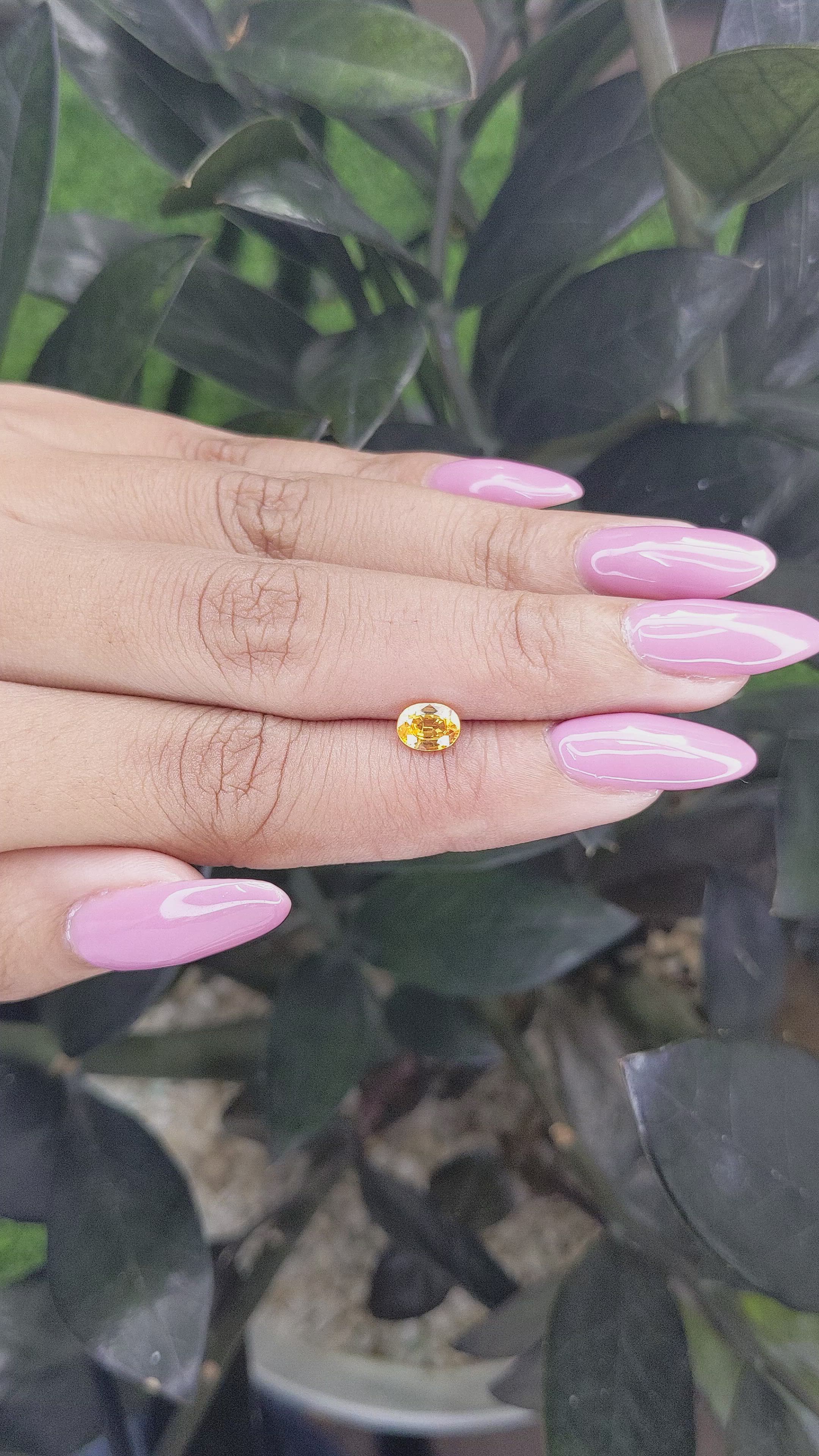 0.82 Ct. Yellow Sapphire from Madagascar Size Video