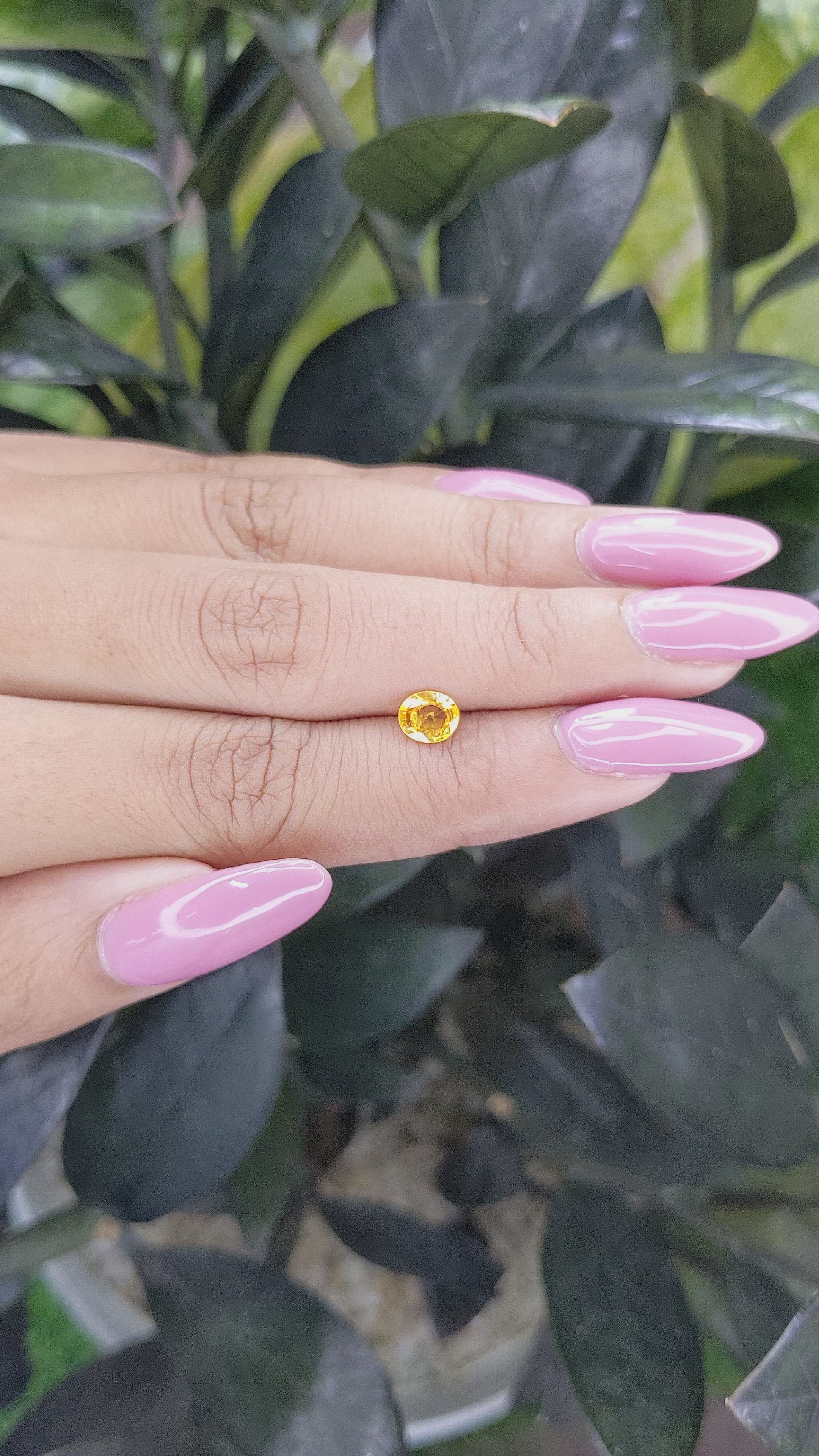 0.71 Ct. Yellow Sapphire from Madagascar Size Video