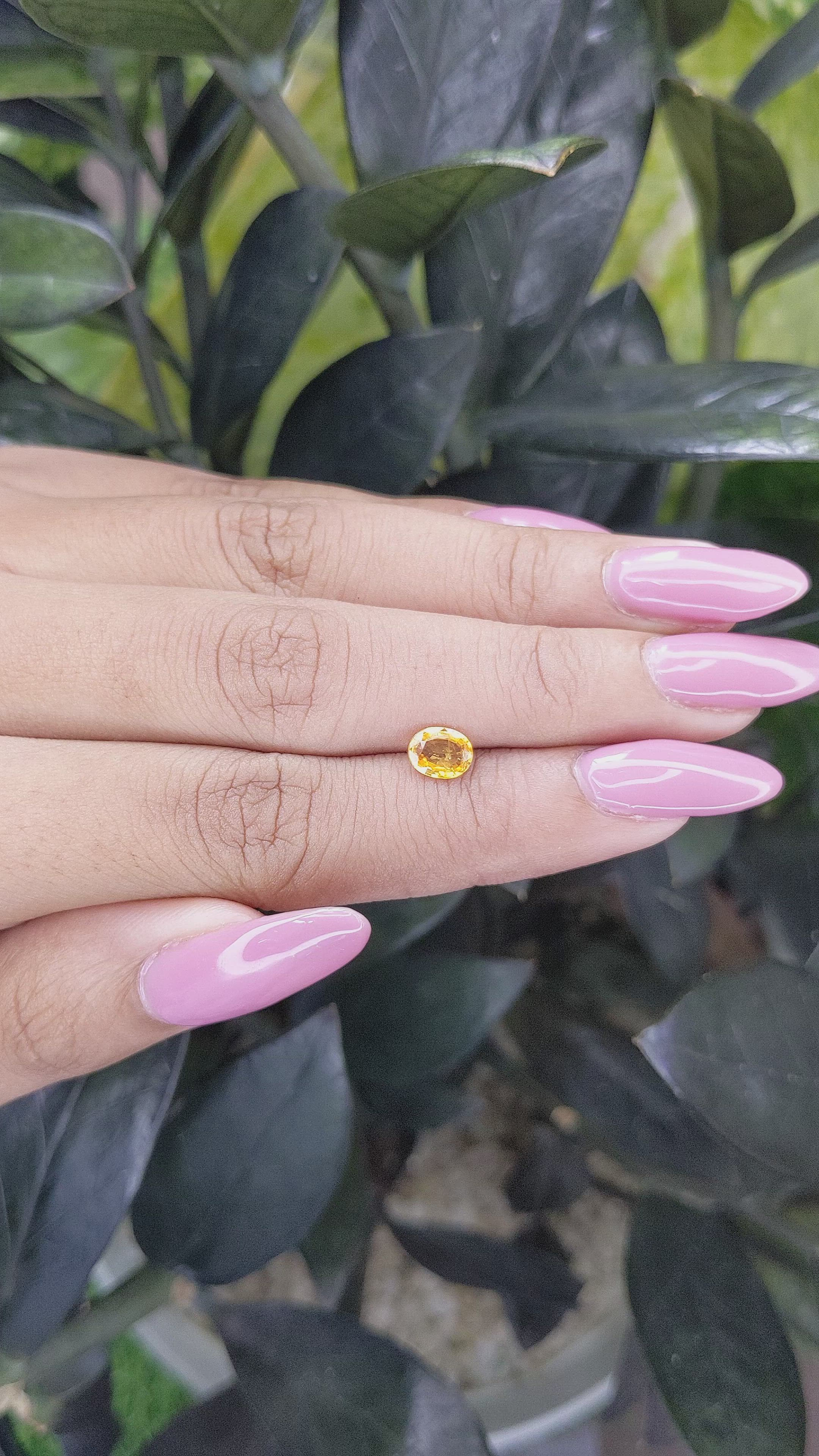 0.78 Ct. Yellow Sapphire from Madagascar Size Video