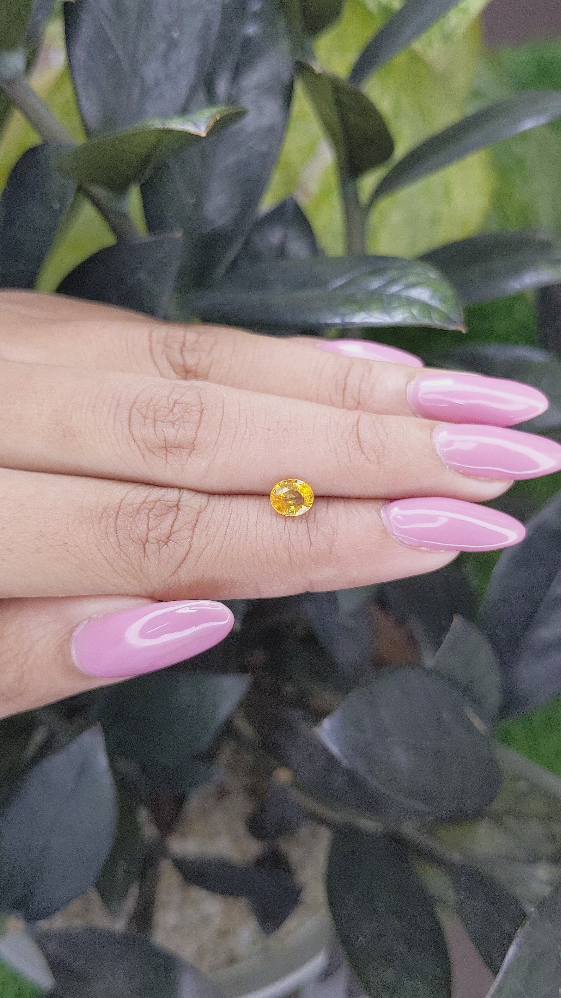 0.83 Ct. Yellow Sapphire from Madagascar Size Video