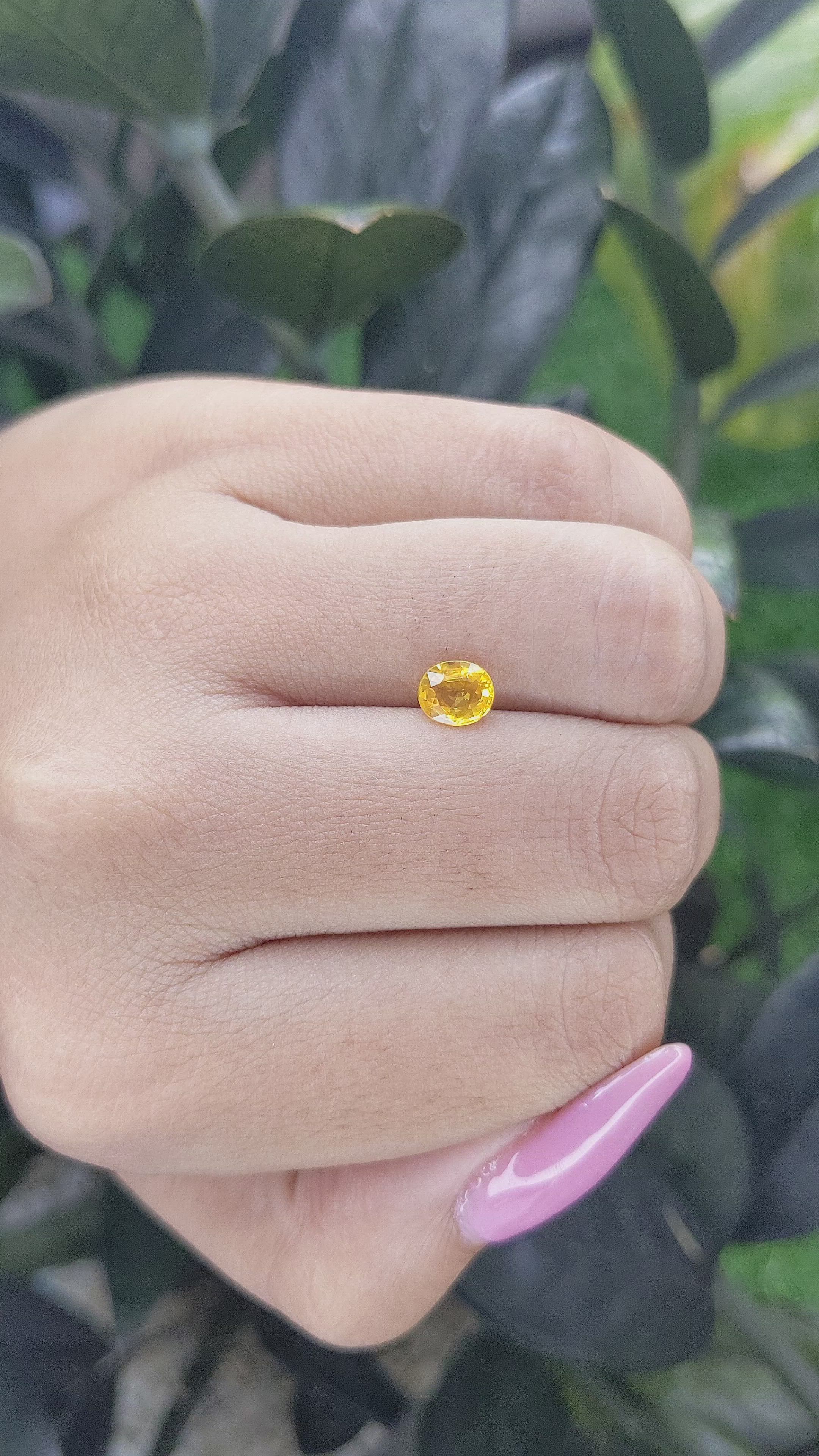 0.75 Ct. Yellow Sapphire from Madagascar Size Video