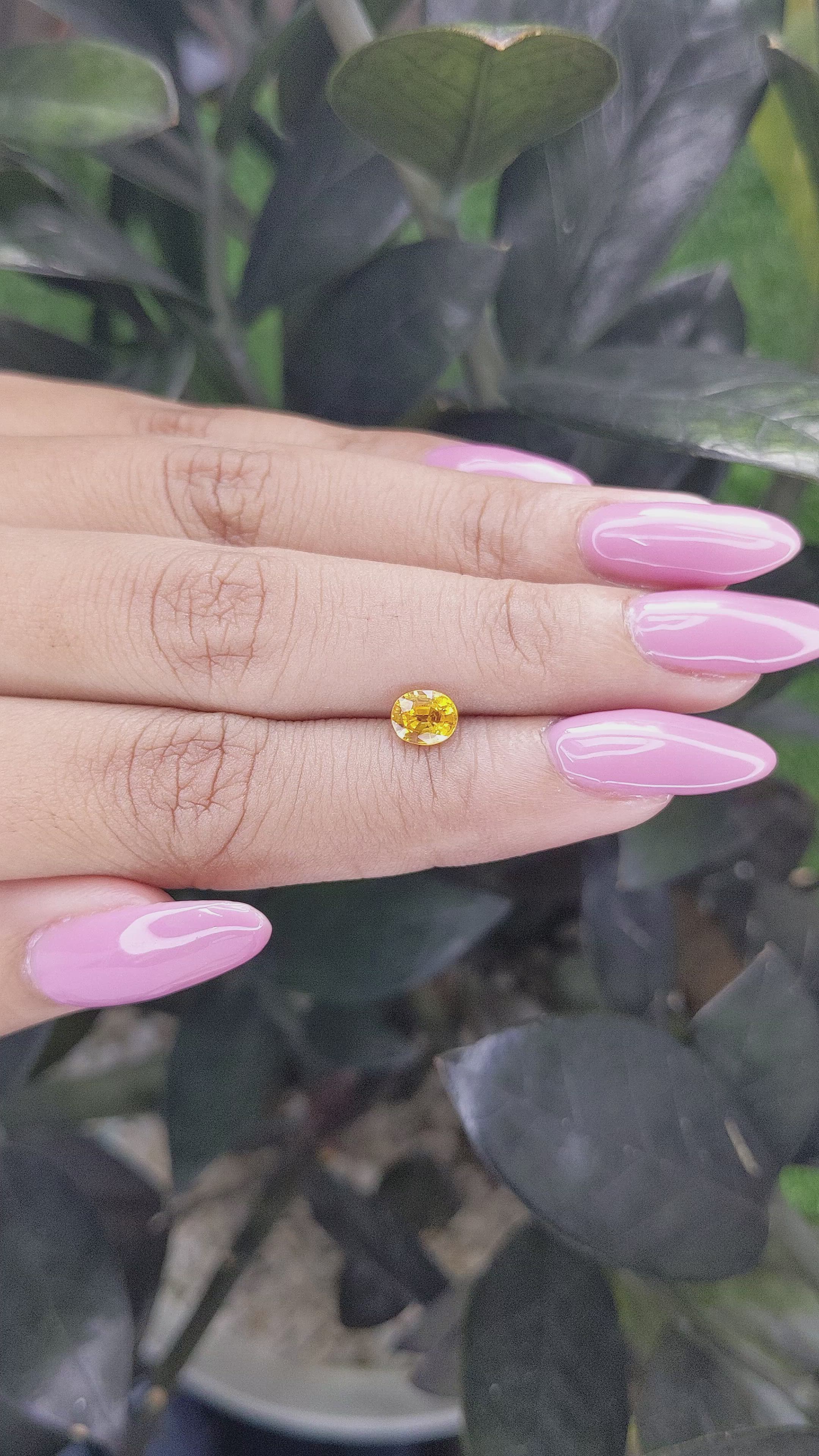 0.85 Ct. Yellow Sapphire from Madagascar Size Video