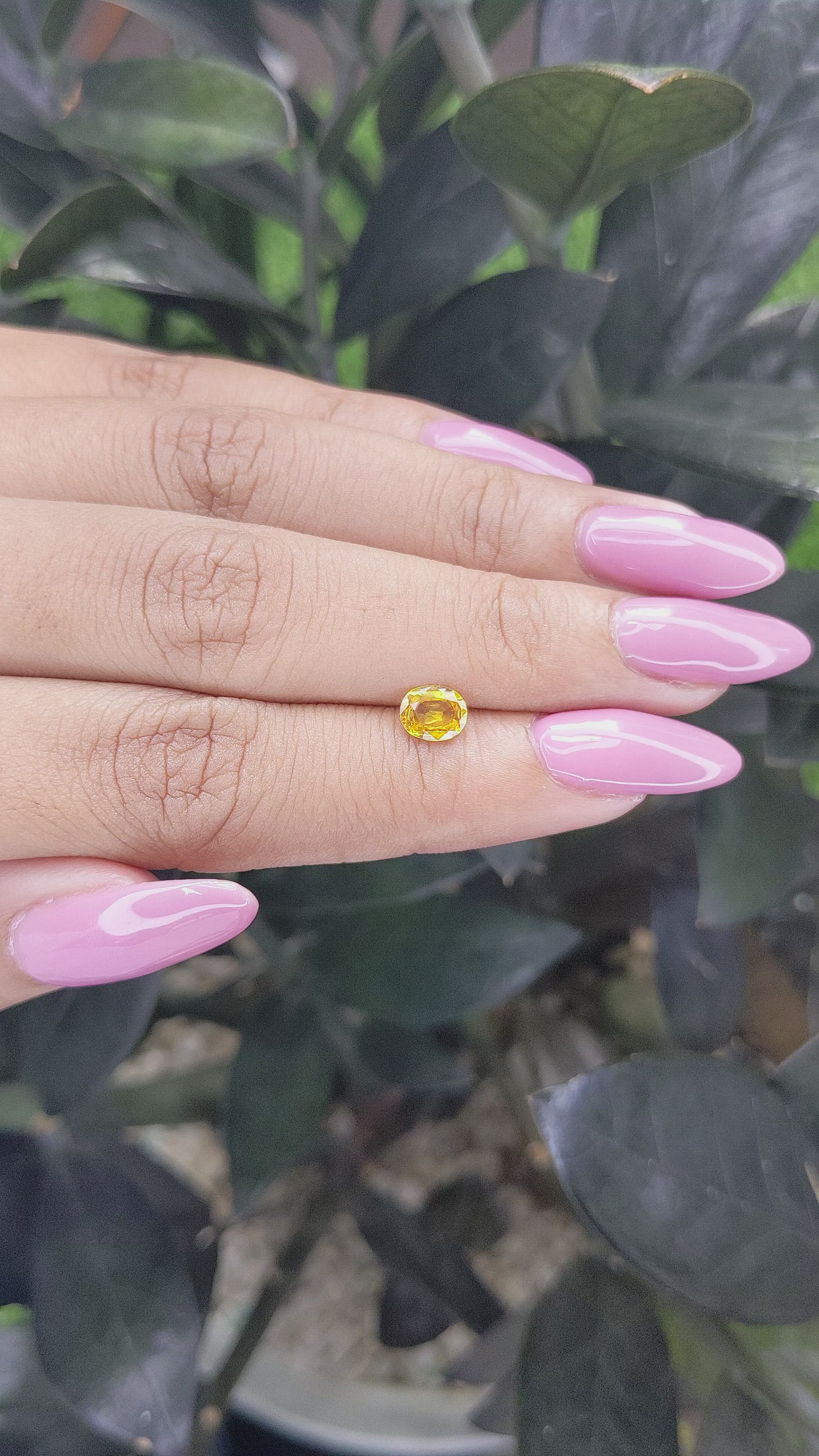 0.68 Ct. Yellow Sapphire from Madagascar Size Video
