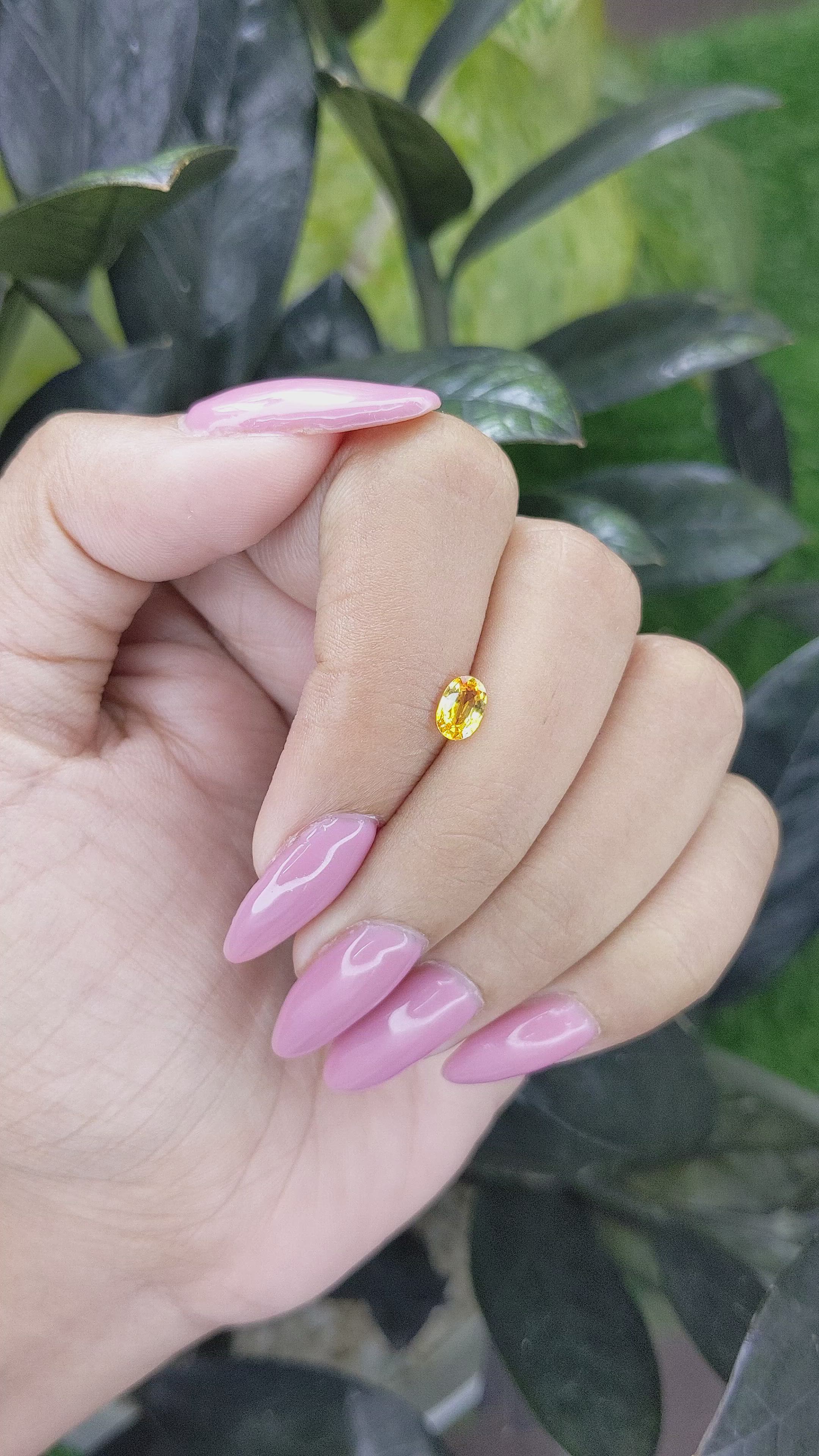 0.60 Ct. Yellow Sapphire from Madagascar Size Video