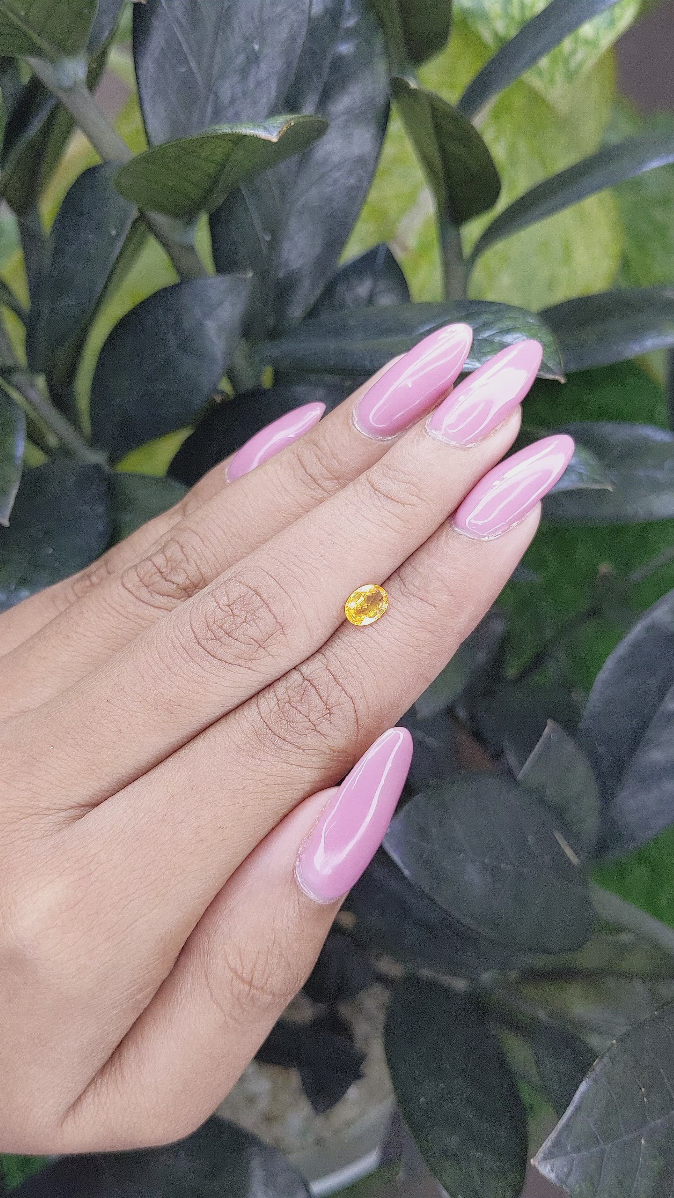 0.66 Ct. Yellow Sapphire from Madagascar Size Video