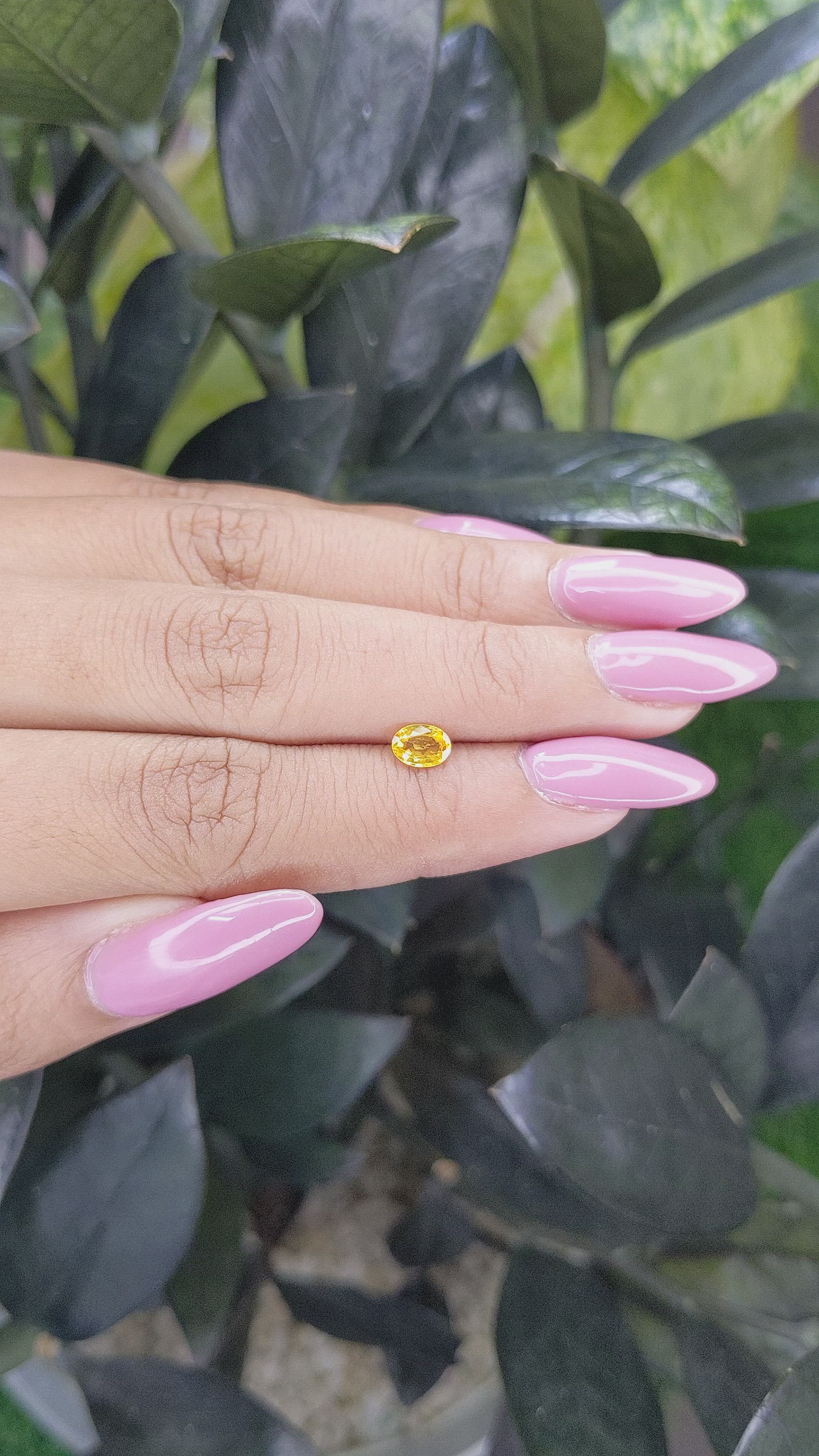 0.53 Ct. Yellow Sapphire from Madagascar Size Video