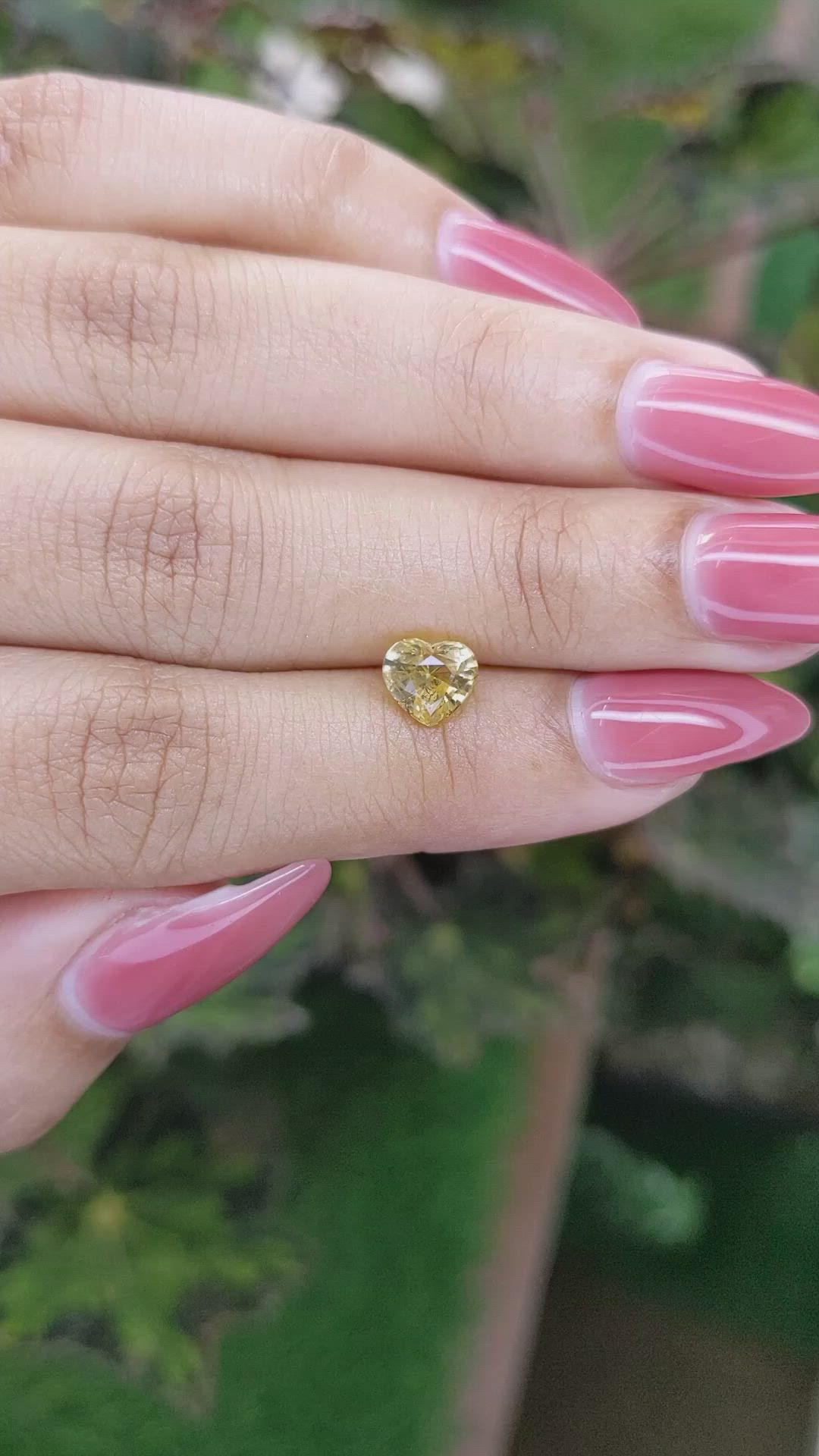 1.48 Ct. Yellow Sapphire from Ceylon (Sri Lanka) Size Video