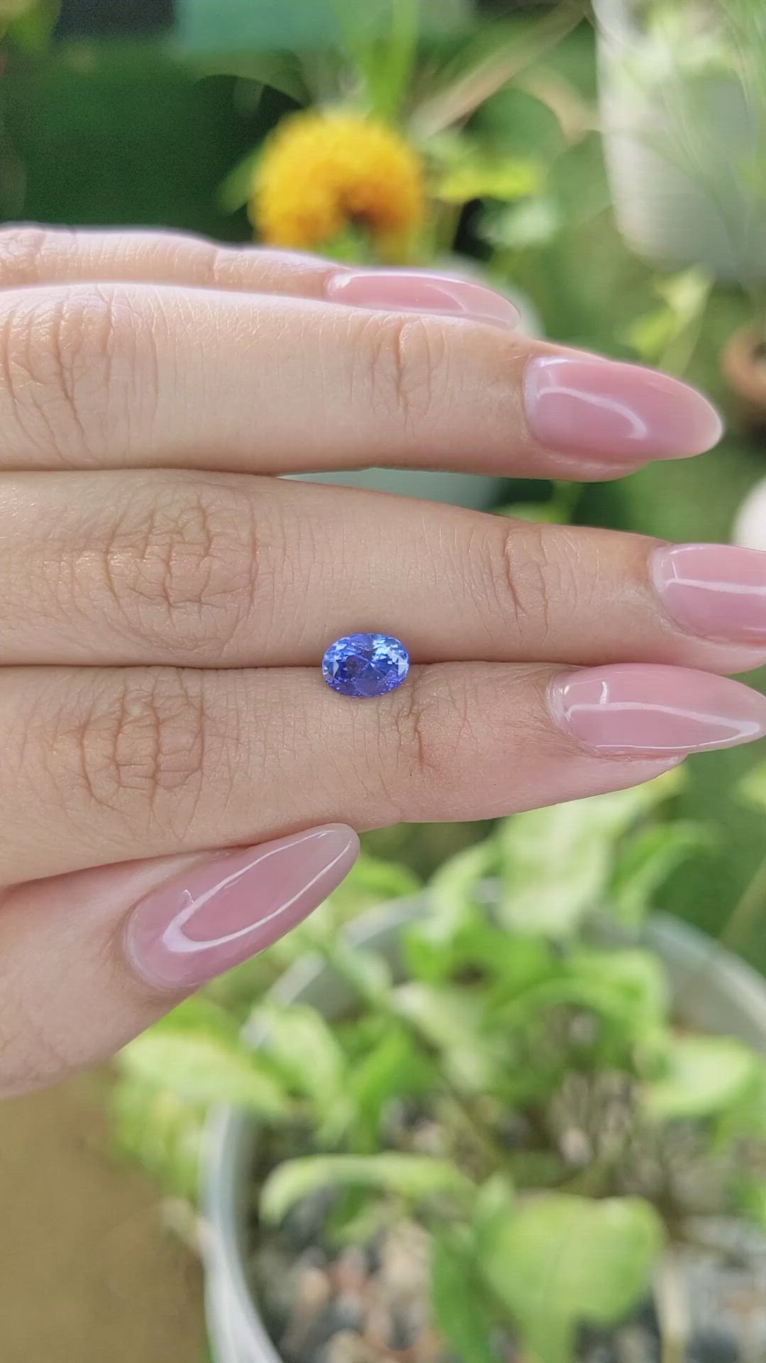 1.24 Ct. Blue Sapphire from Ceylon (Sri Lanka) Size Video