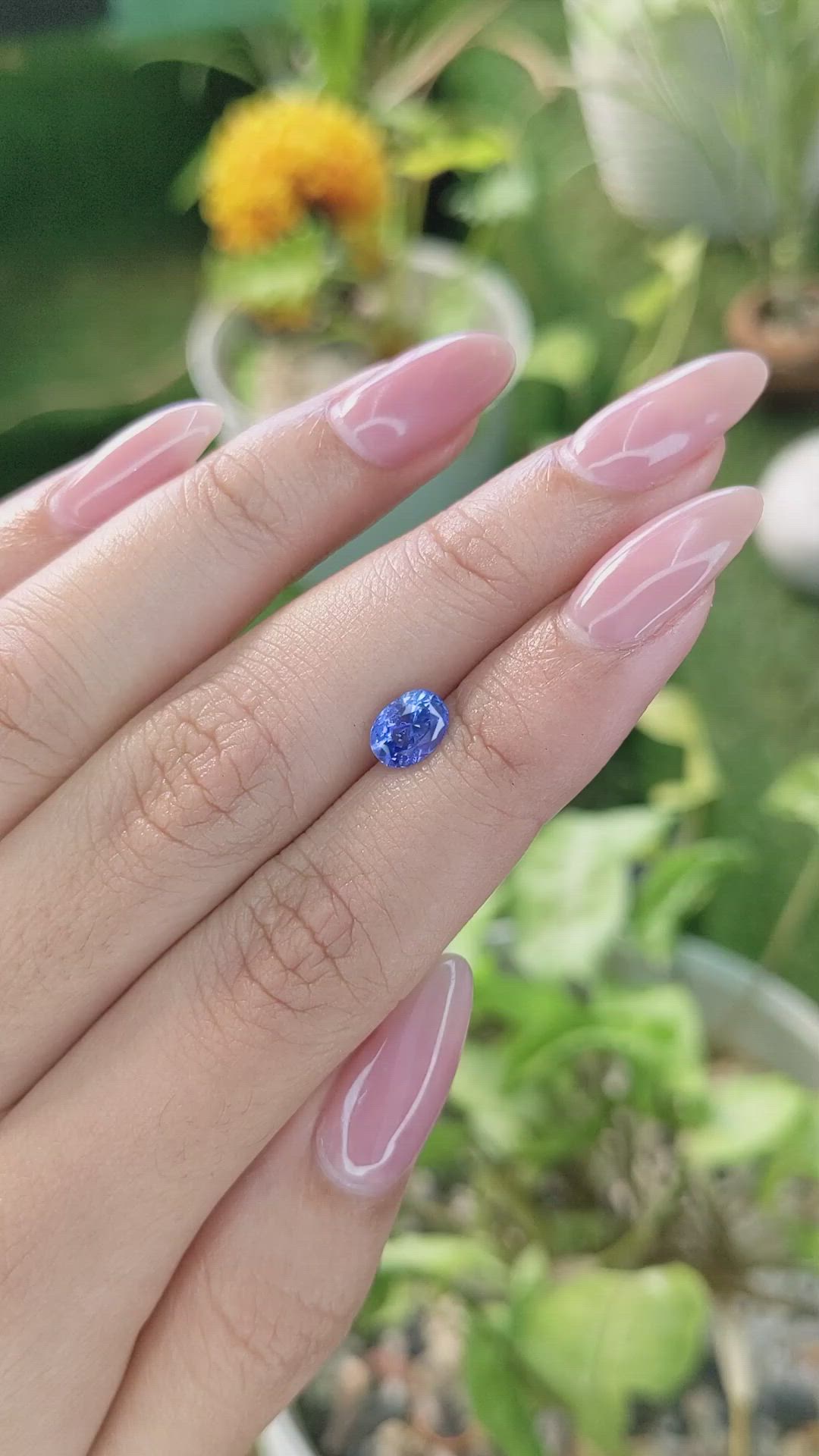 1.24 Ct. Blue Sapphire from Ceylon (Sri Lanka) Size Video