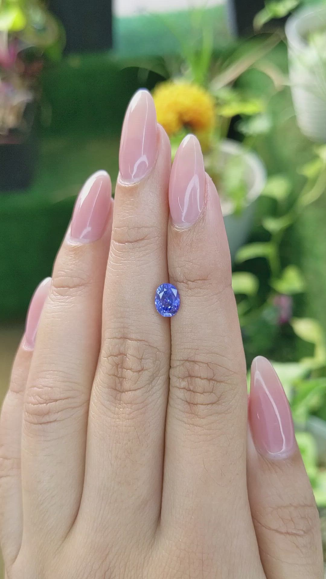 1.24 Ct. Blue Sapphire from Ceylon (Sri Lanka) Size Video