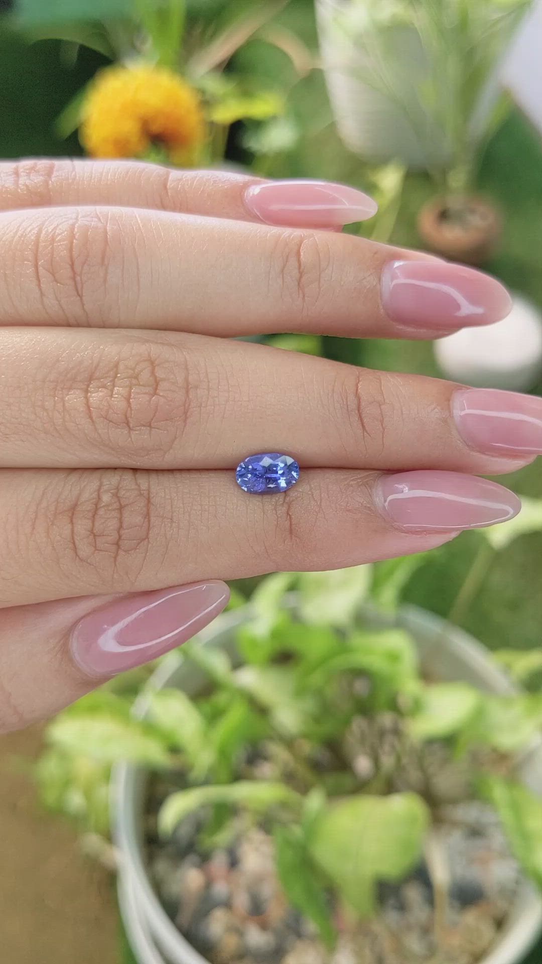 1.31 Ct. Blue Sapphire from Ceylon (Sri Lanka) Size Video