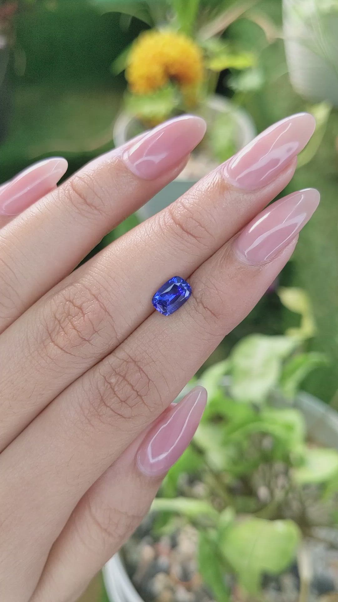 1.31 Ct. Blue Sapphire from Ceylon (Sri Lanka) Size Video