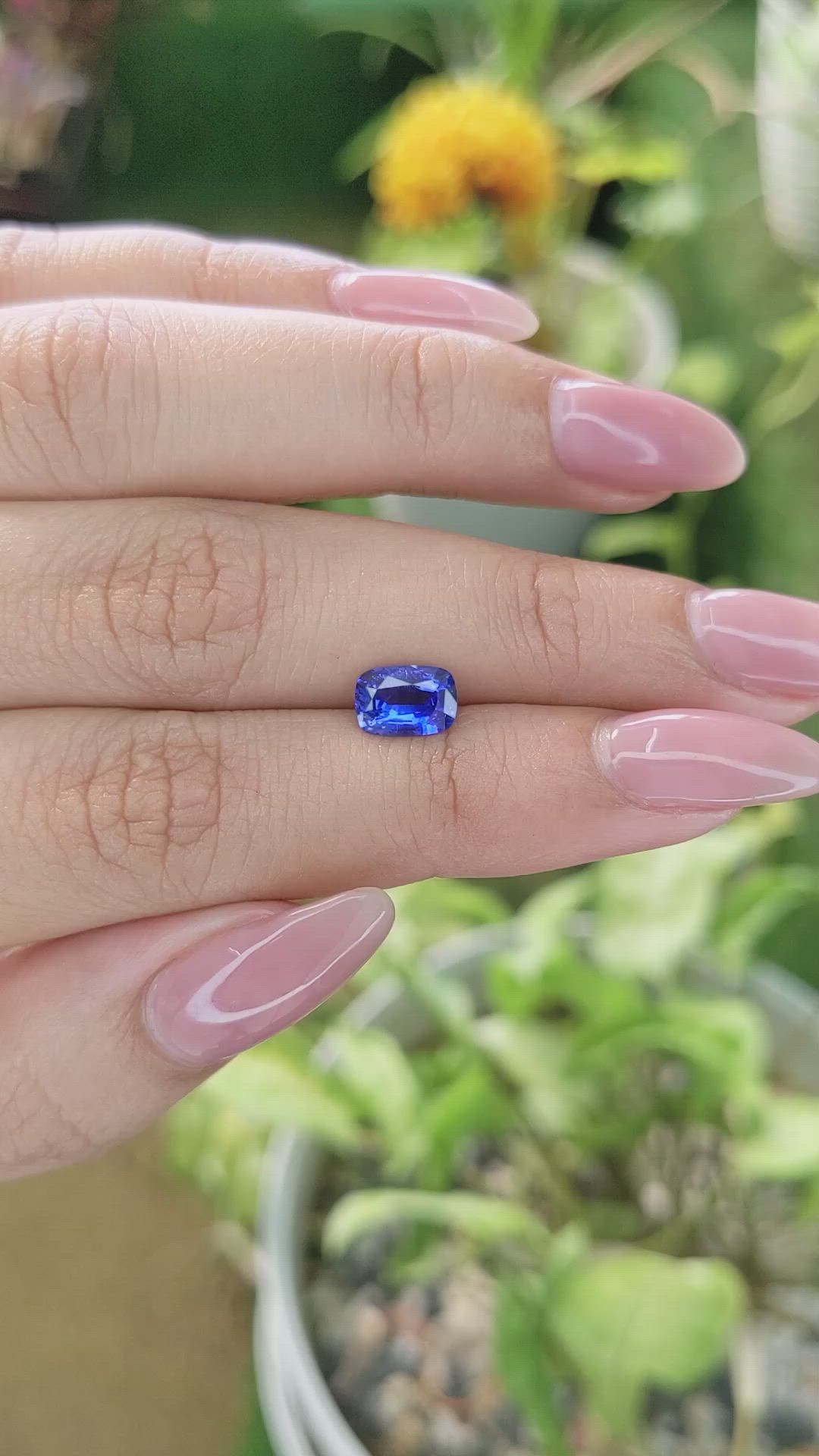 1.31 Ct. Blue Sapphire from Ceylon (Sri Lanka) Size Video