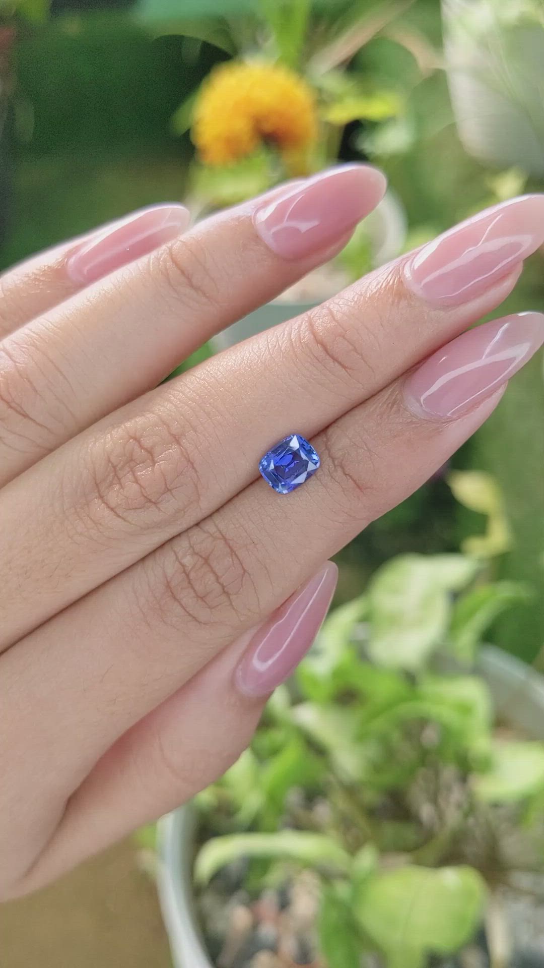 1.24 Ct. Blue Sapphire from Ceylon (Sri Lanka) Size Video