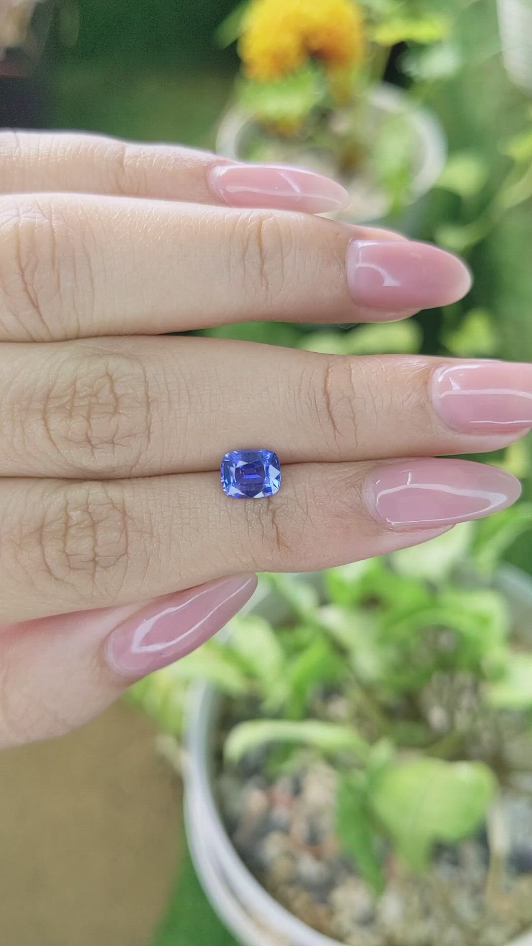 1.24 Ct. Blue Sapphire from Ceylon (Sri Lanka) Size Video