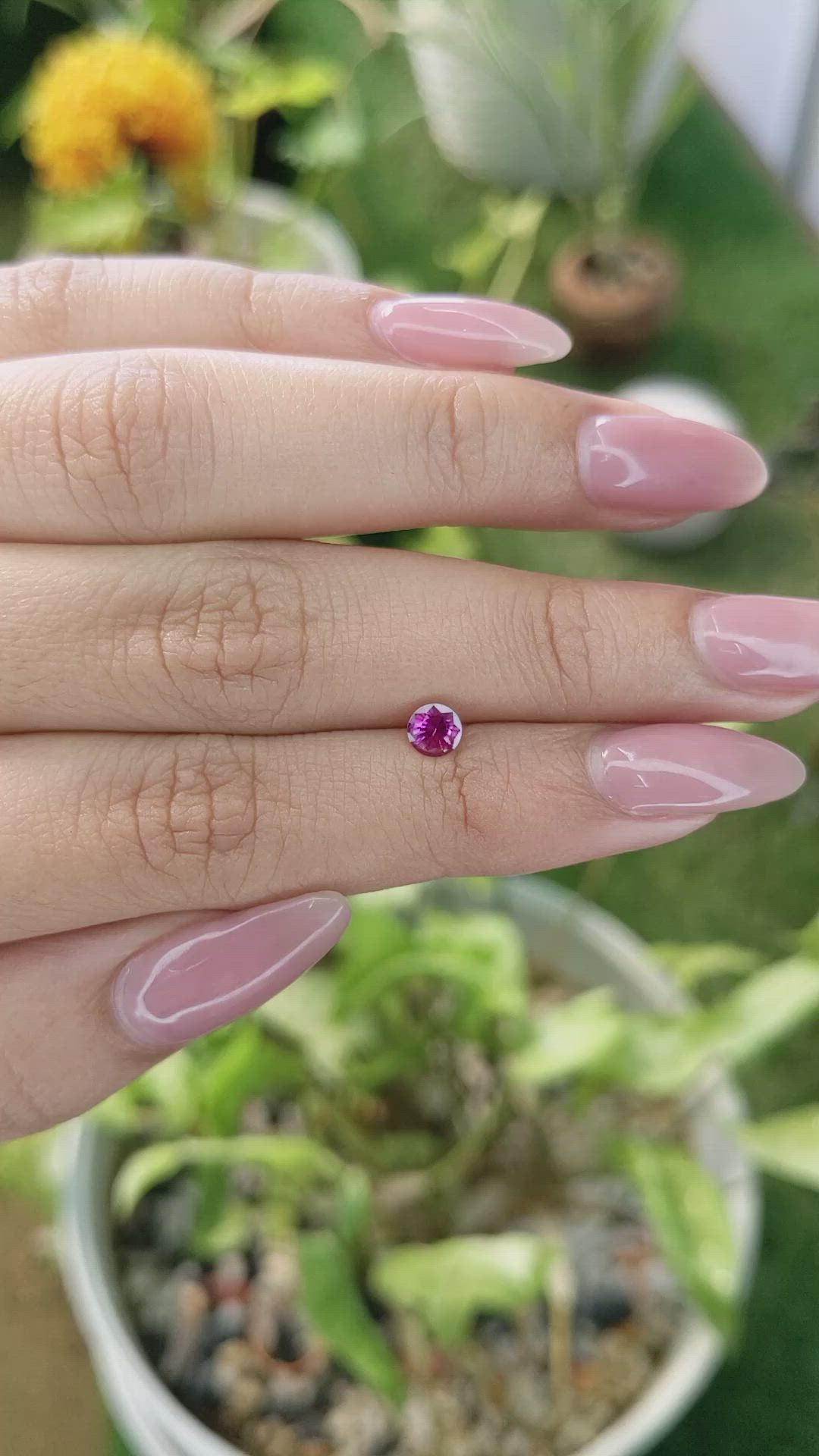 0.52 Ct. Pink Sapphire from Ceylon (Sri Lanka) Size Video