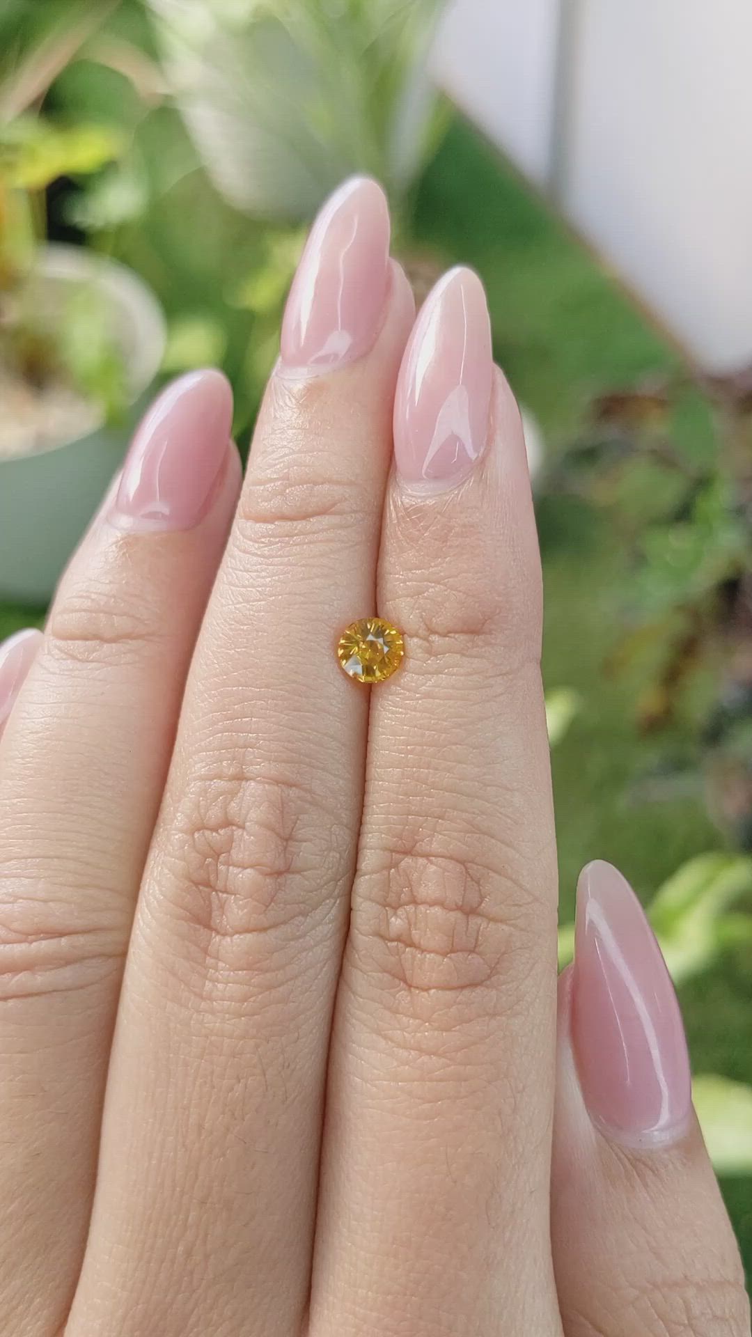 0.70 Ct. Yellowish Orange Sapphire from Ceylon (Sri Lanka) Size Video
