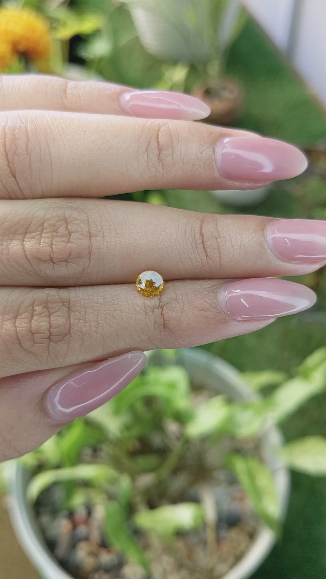 0.70 Ct. Yellowish Orange Sapphire from Ceylon (Sri Lanka) Size Video