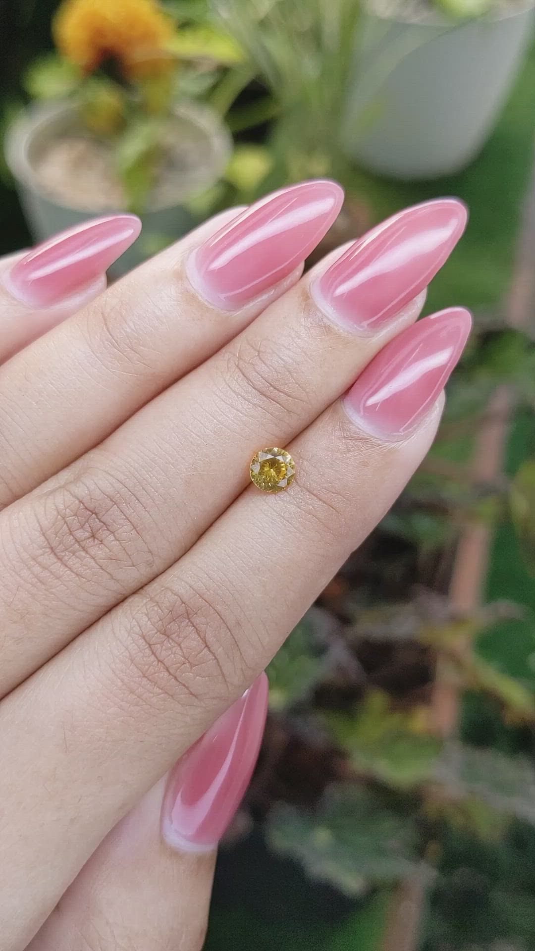 0.60 Ct. Yellow Sapphire from Ceylon (Sri Lanka) Size Video