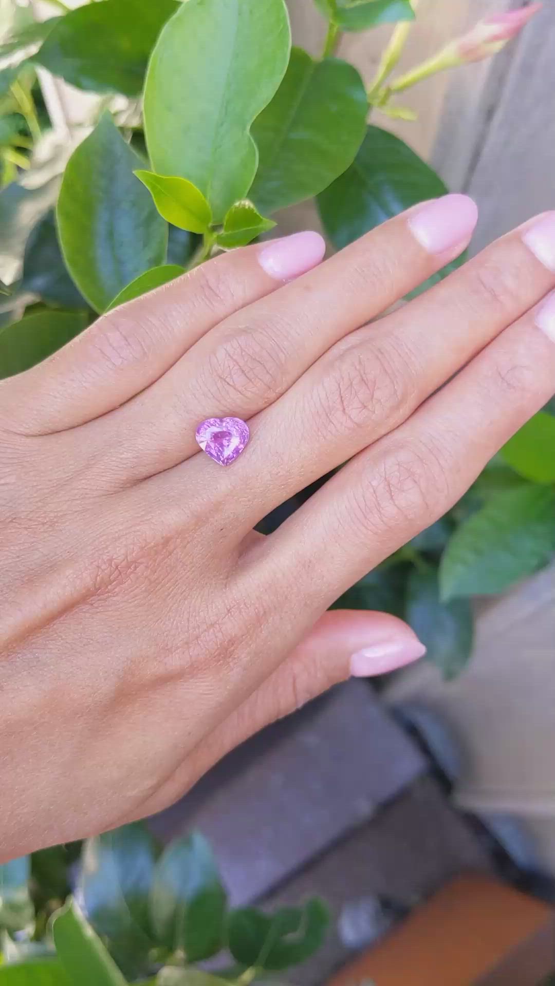 3.19 Ct. Purplish Pink Sapphire from Madagascar Size Video
