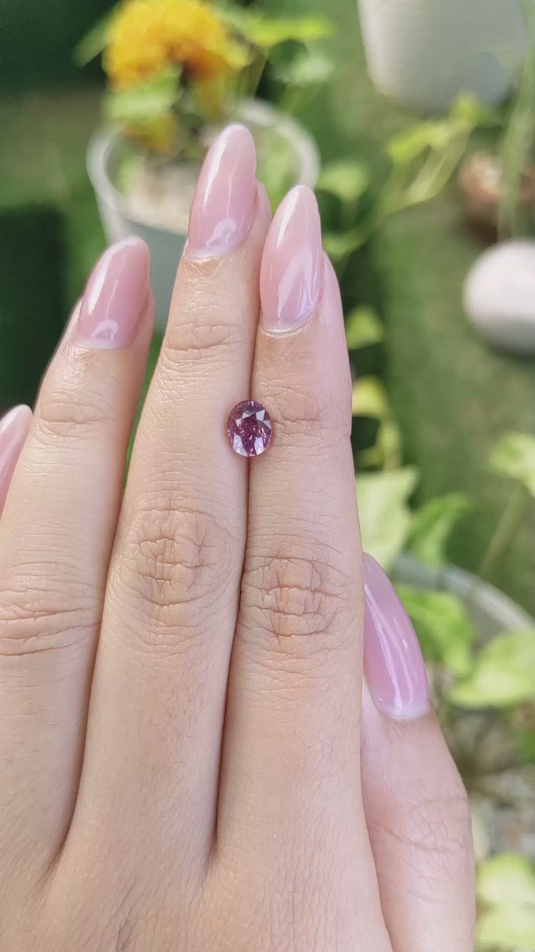 1.59 Ct. Pink Sapphire from Ceylon (Sri Lanka) Size Video