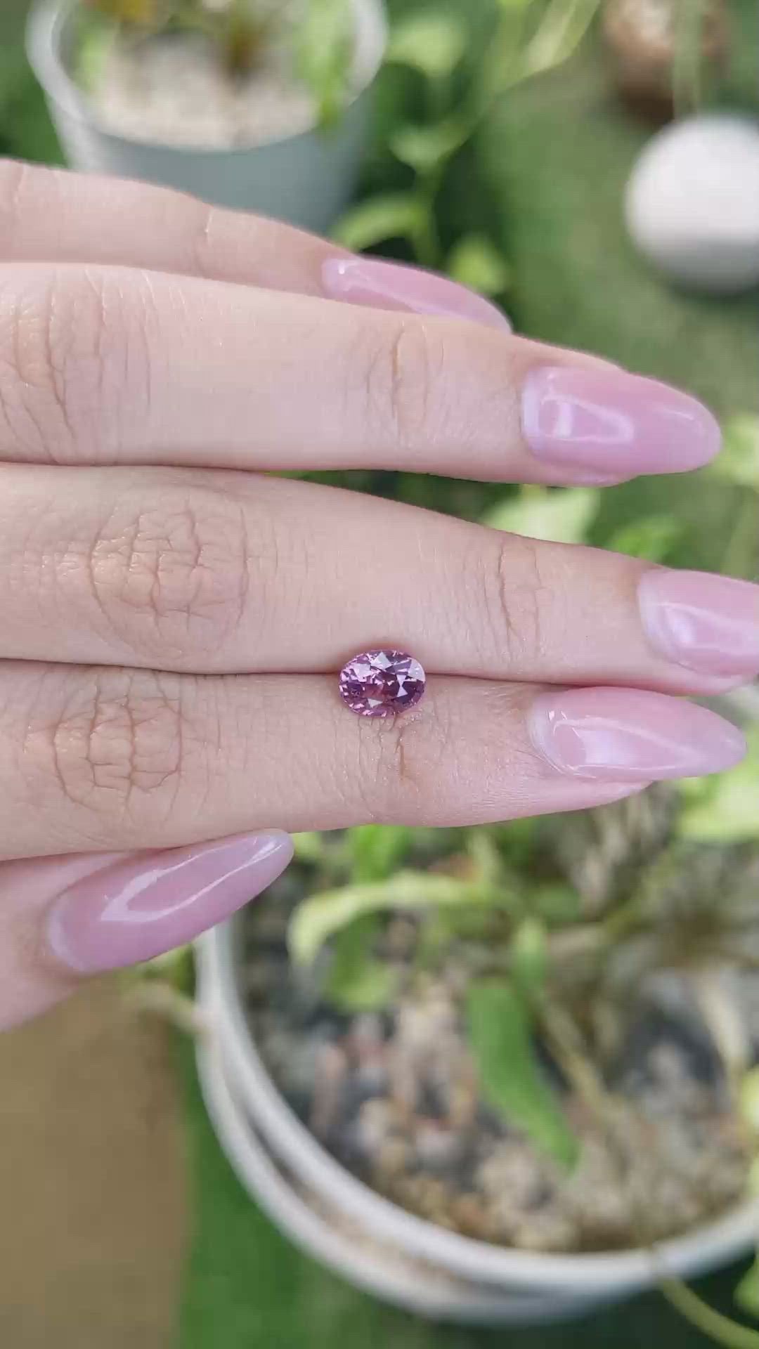 1.59 Ct. Pink Sapphire from Ceylon (Sri Lanka) Size Video