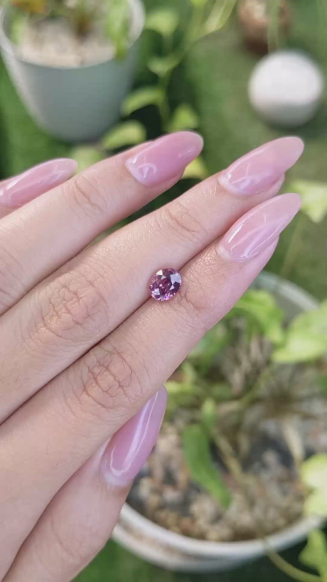 1.59 Ct. Pink Sapphire from Ceylon (Sri Lanka) Size Video