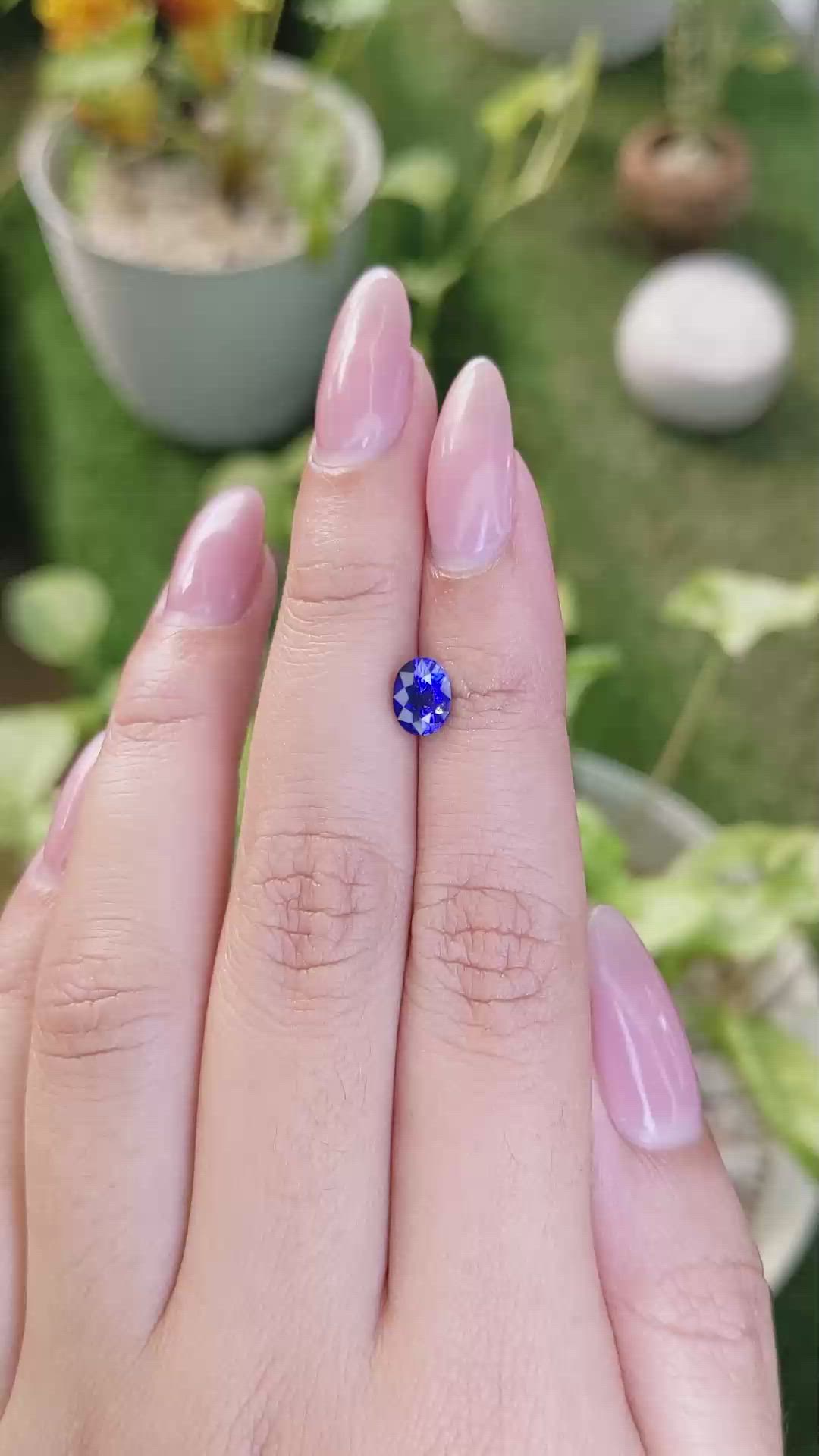 1.39 Ct. Blue Sapphire from Ceylon (Sri Lanka) Size Video