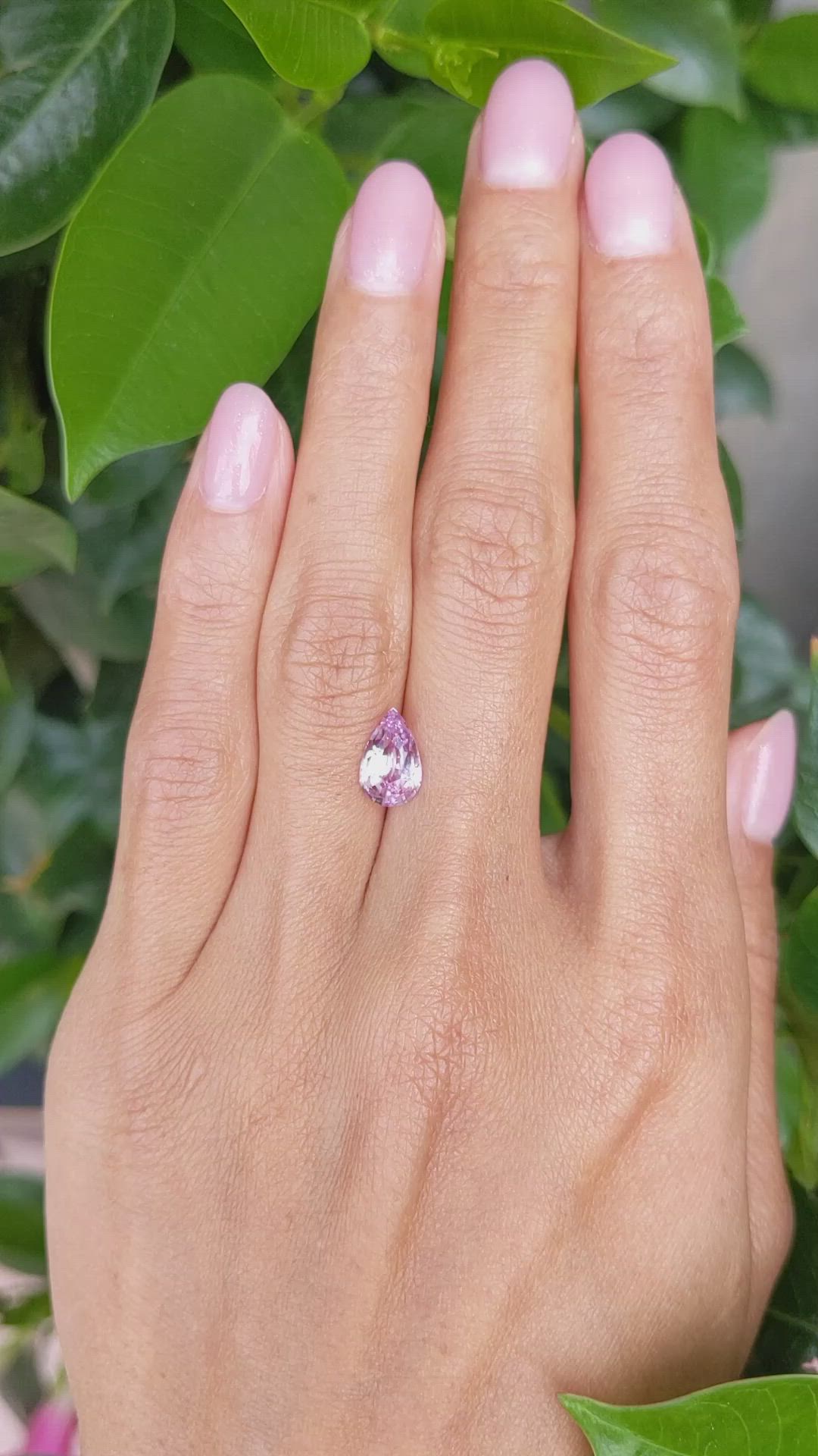 2.06 Ct. Pink Sapphire from Ceylon (Sri Lanka) Size Video