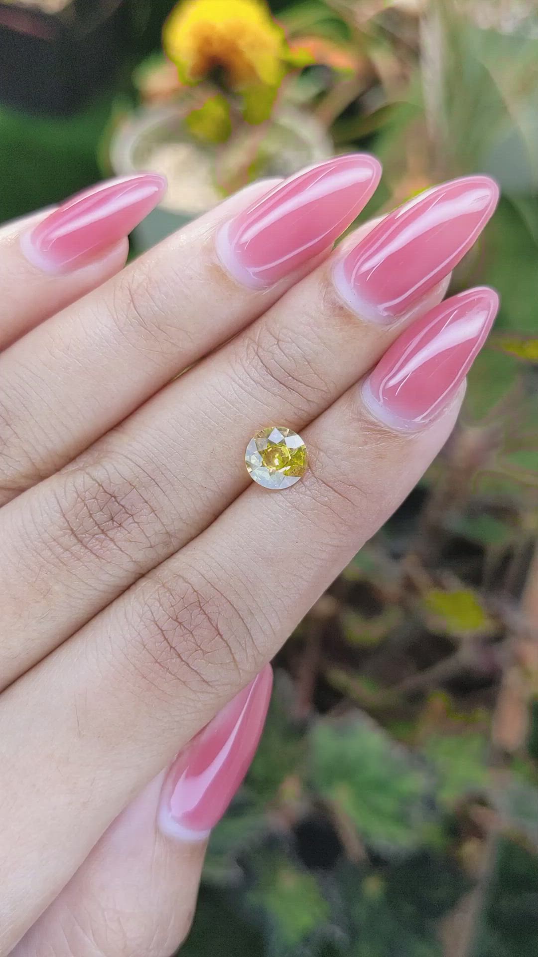 1.42 Ct. Yellow Sapphire from Ceylon (Sri Lanka) Size Video