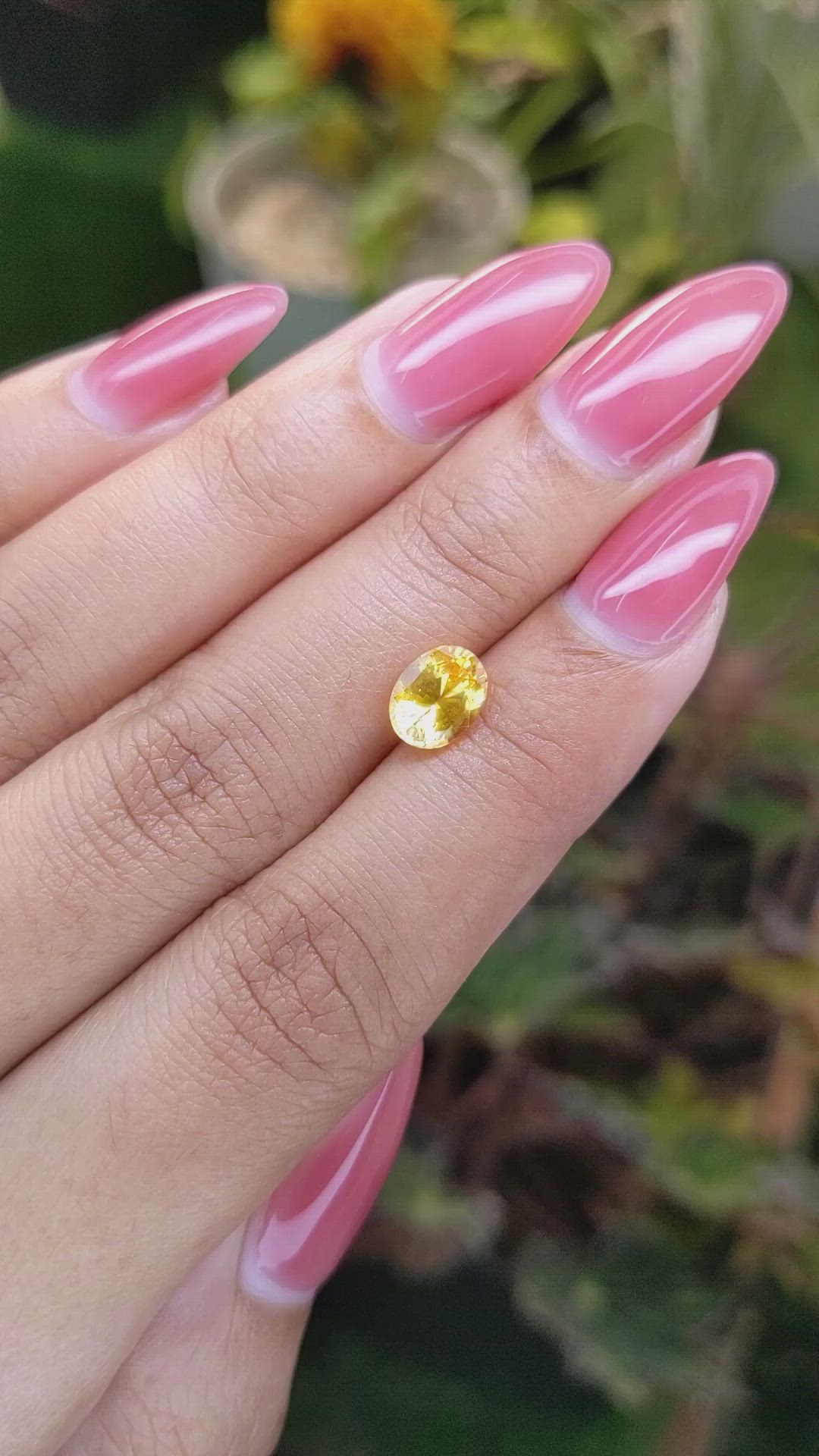 1.59 Ct. Yellow Sapphire from Ceylon (Sri Lanka) Size Video