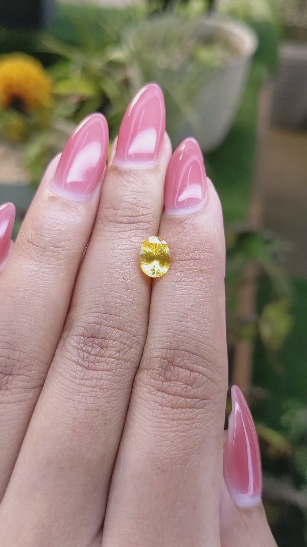1.59 Ct. Yellow Sapphire from Ceylon (Sri Lanka) Size Video