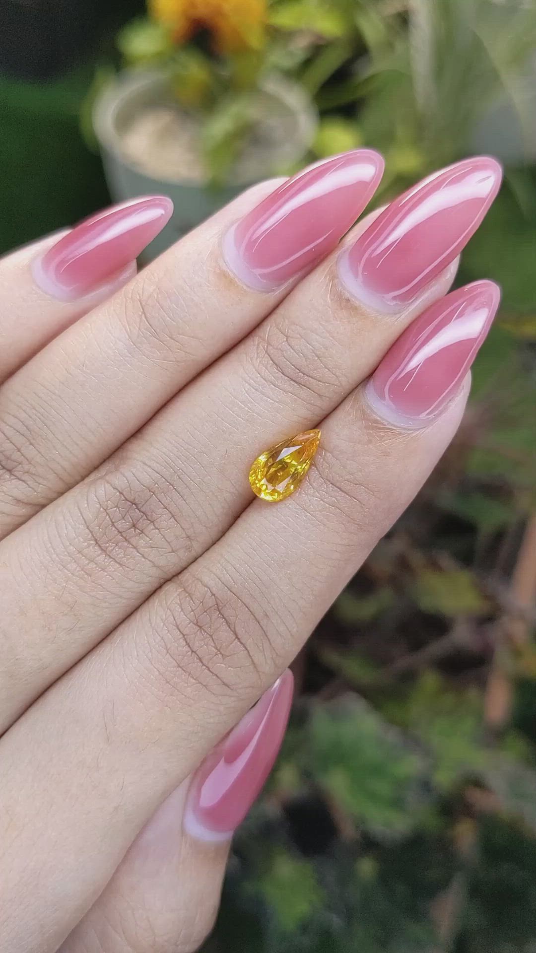 2.00 Ct. Yellowish Orange Sapphire from Ceylon (Sri Lanka) Size Video
