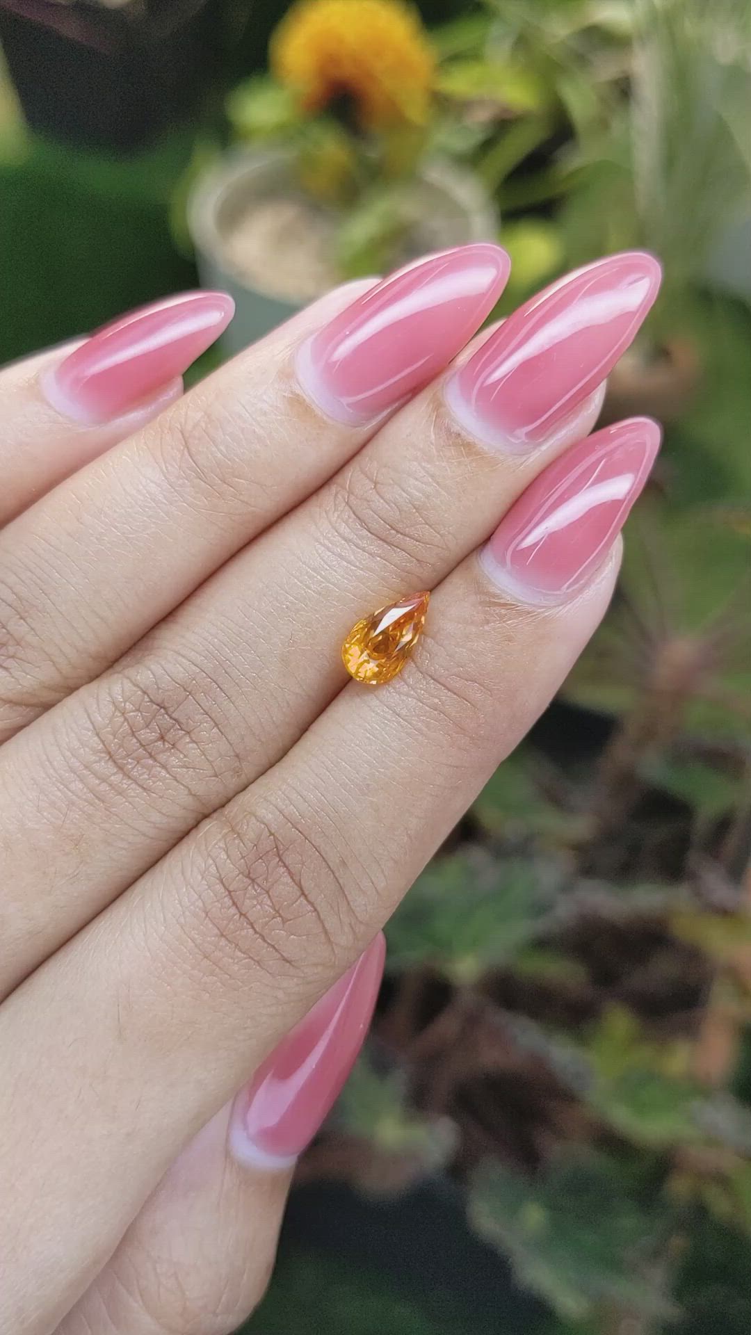 1.62 Ct. Yellowish Orange Sapphire from Ceylon (Sri Lanka) Size Video